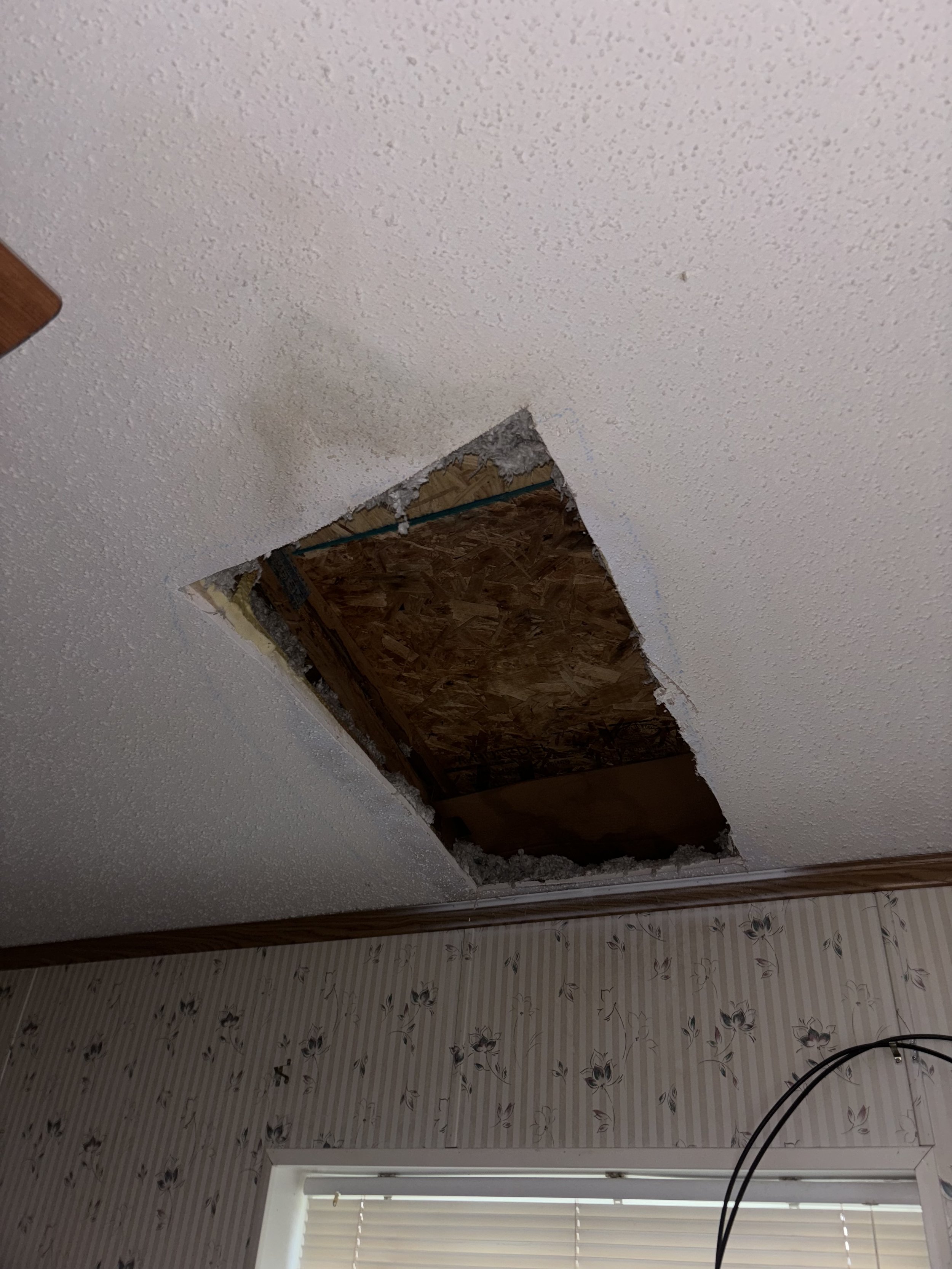 Photo Dec 19 2024, 4 03 04 PM.jpg