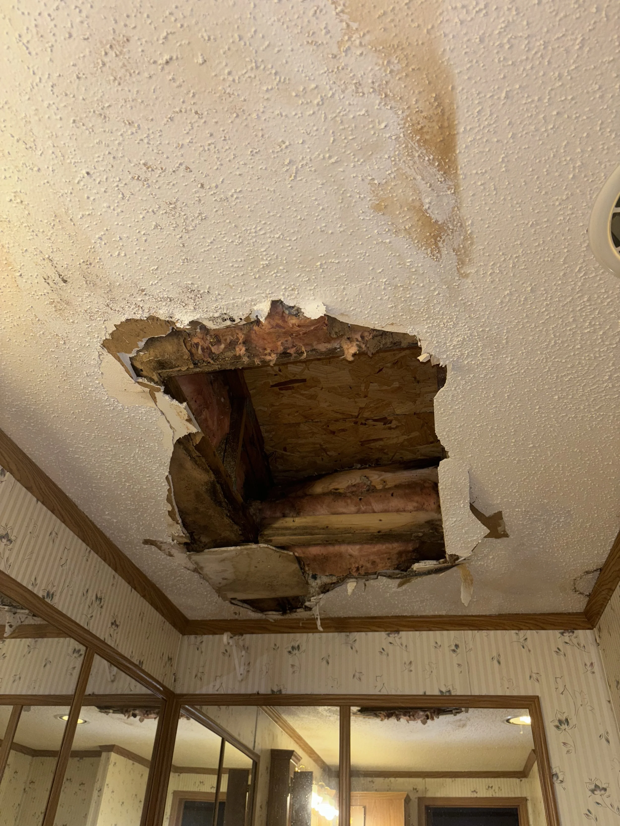 Photo Dec 19 2024, 4 03 25 PM.jpg