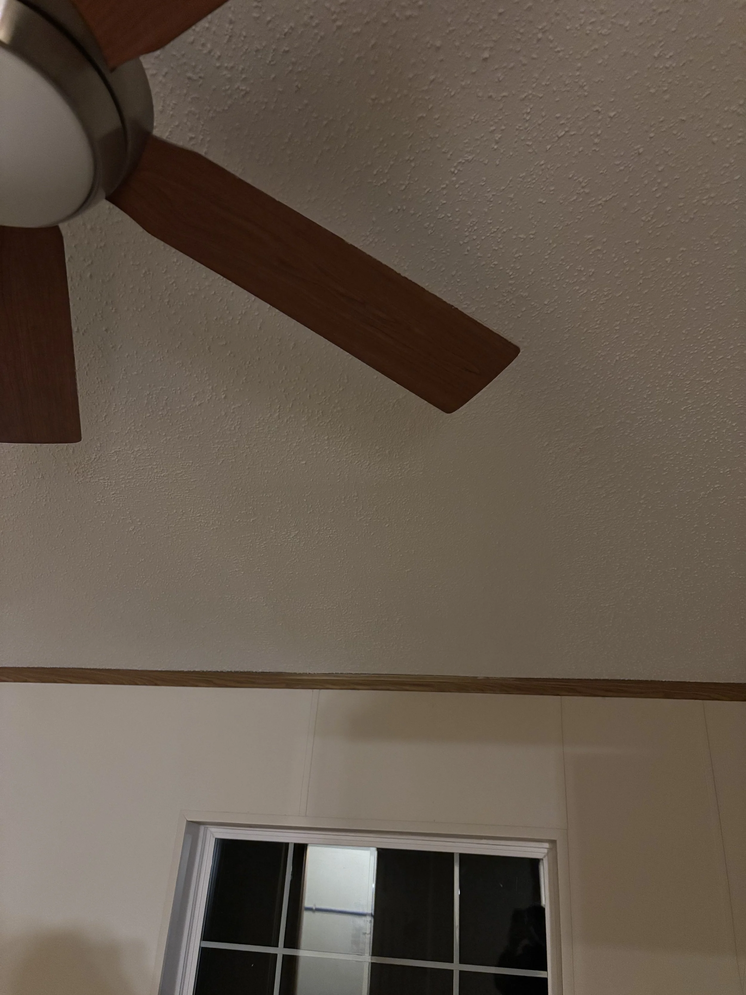 Photo Feb 27 2025, 9 21 09 PM.jpg