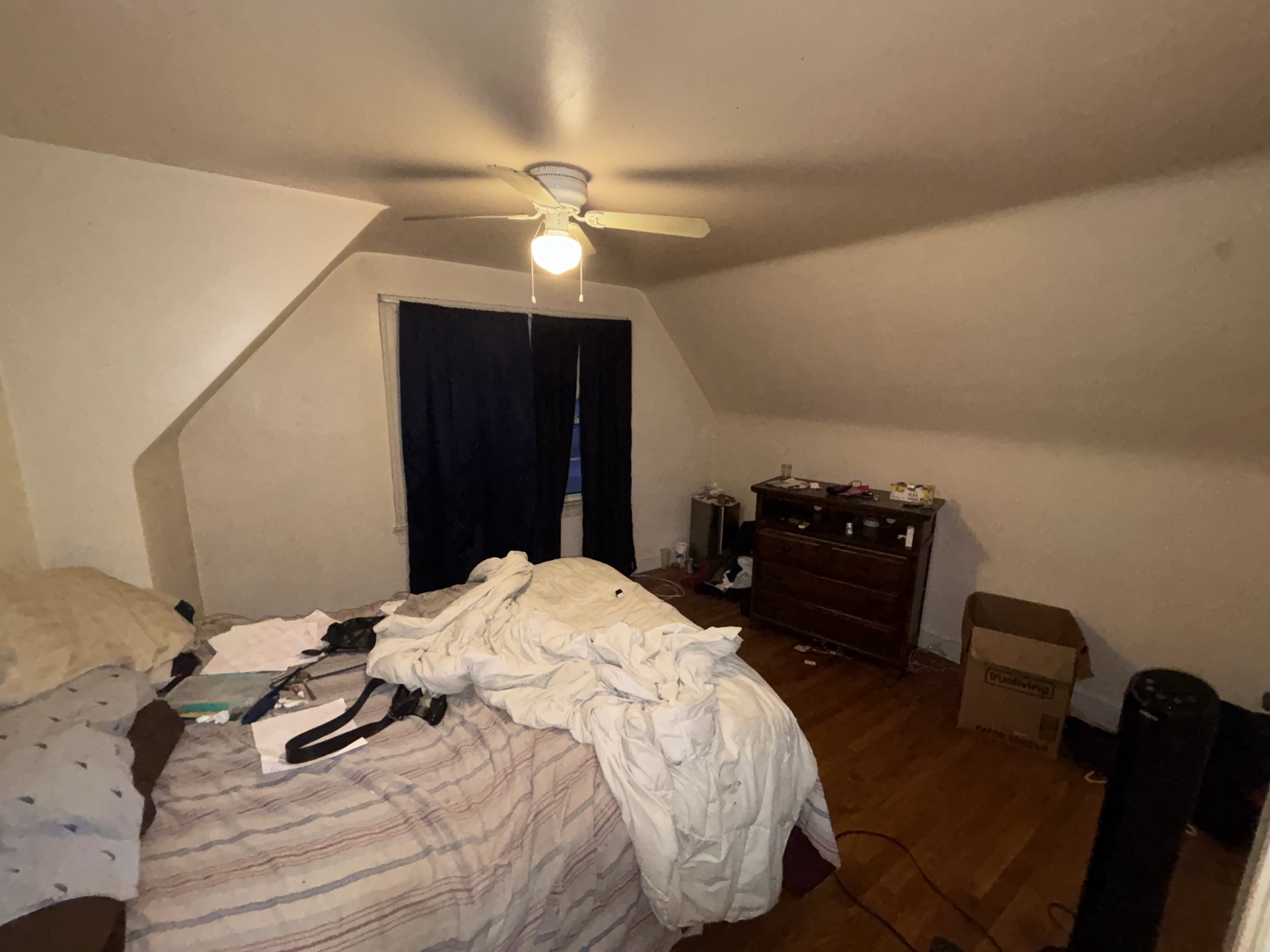 Photo Mar 10 2025, 7 36 07 PM.jpg