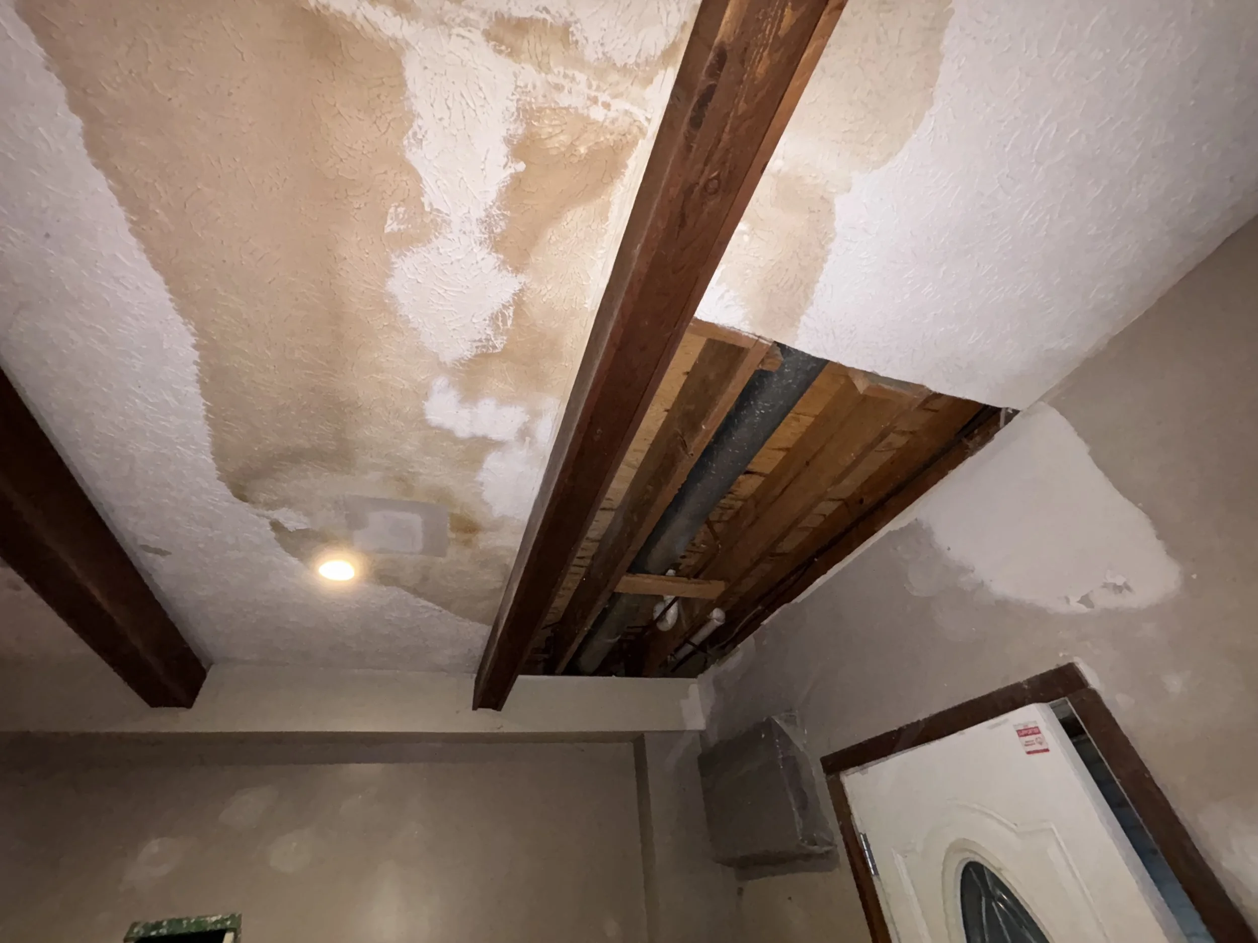 Photo Apr 09 2025, 10 43 34 PM.jpg