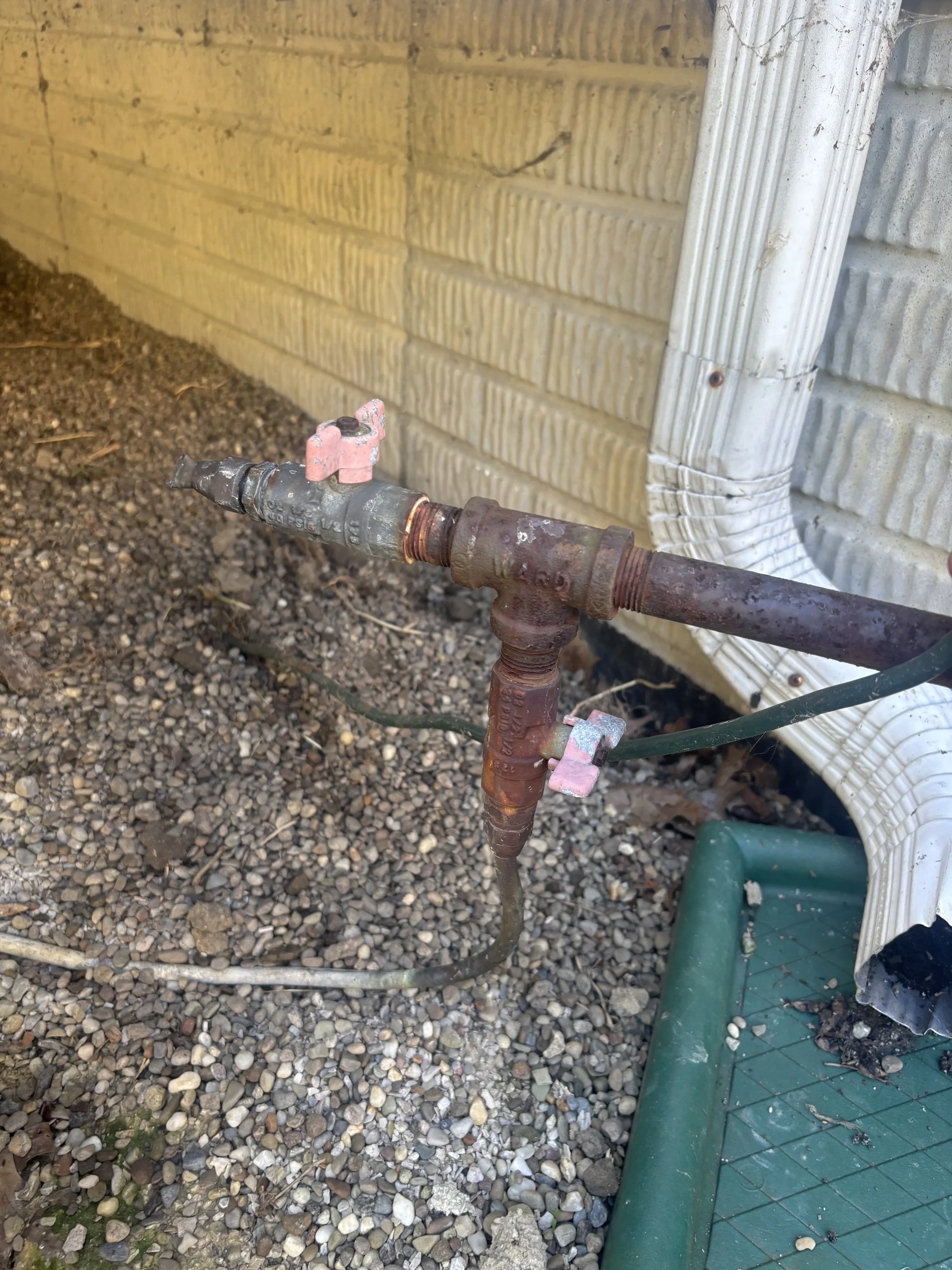 Photo Sep 11 2025, 10 33 51 AM.jpg