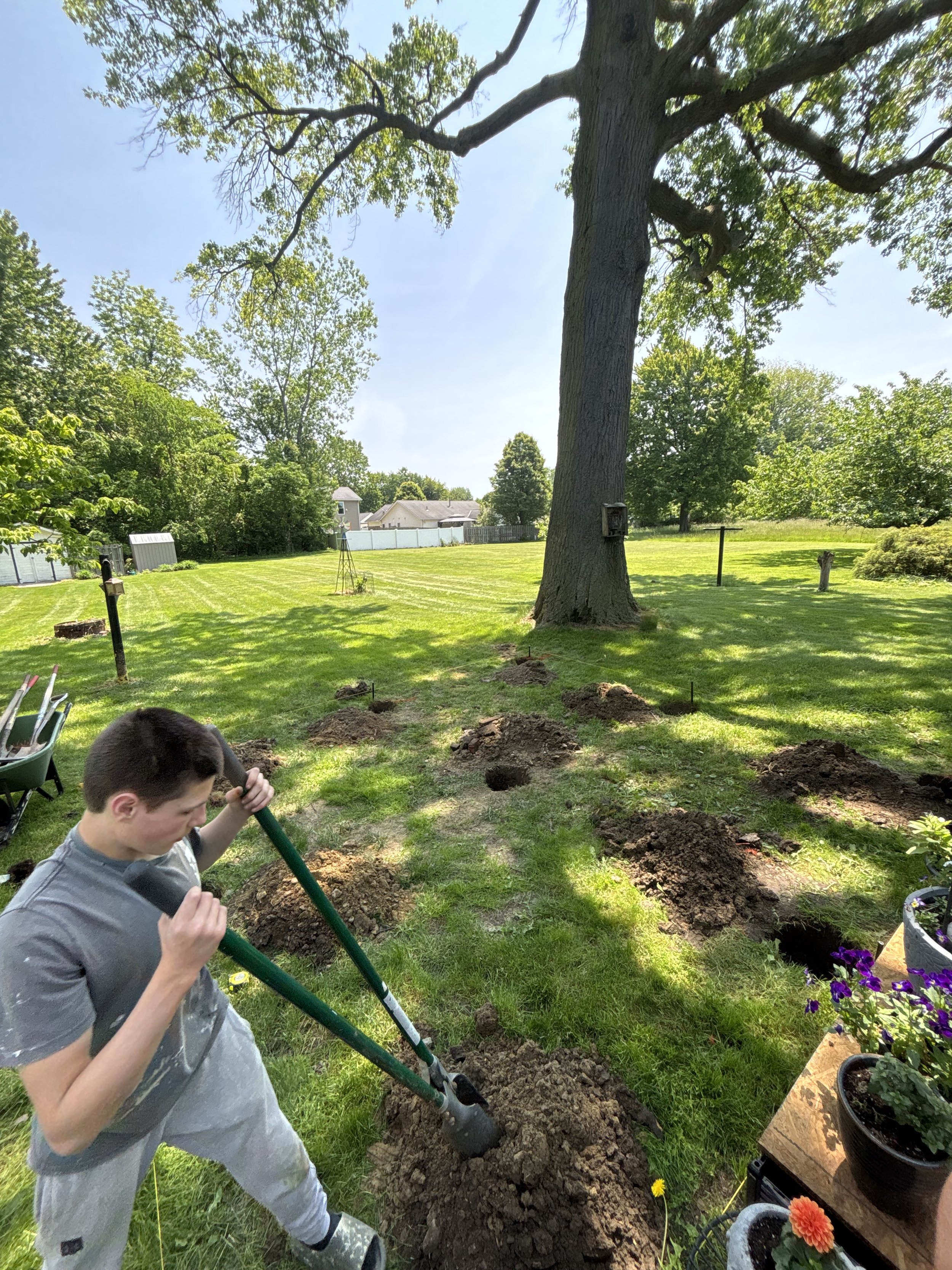 Photo Jun 02 2025, 12 40 40 PM.jpg