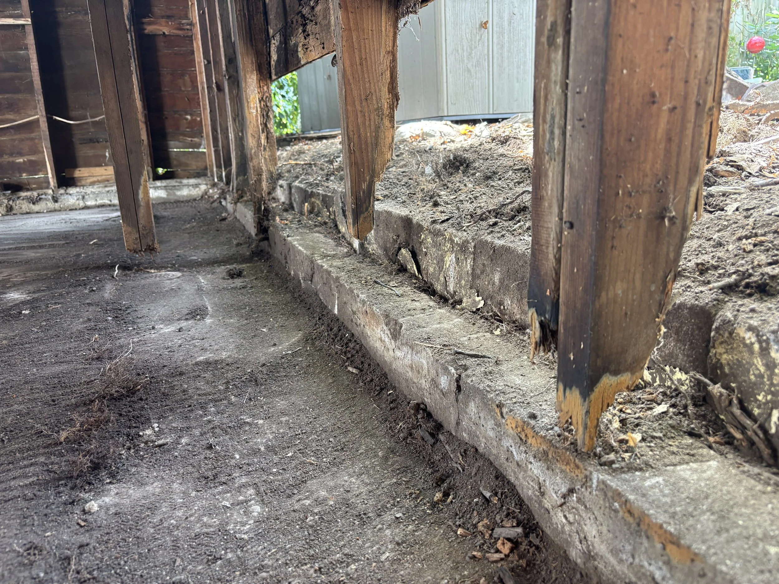 Photo Oct 02 2025, 1 09 41 PM.jpg