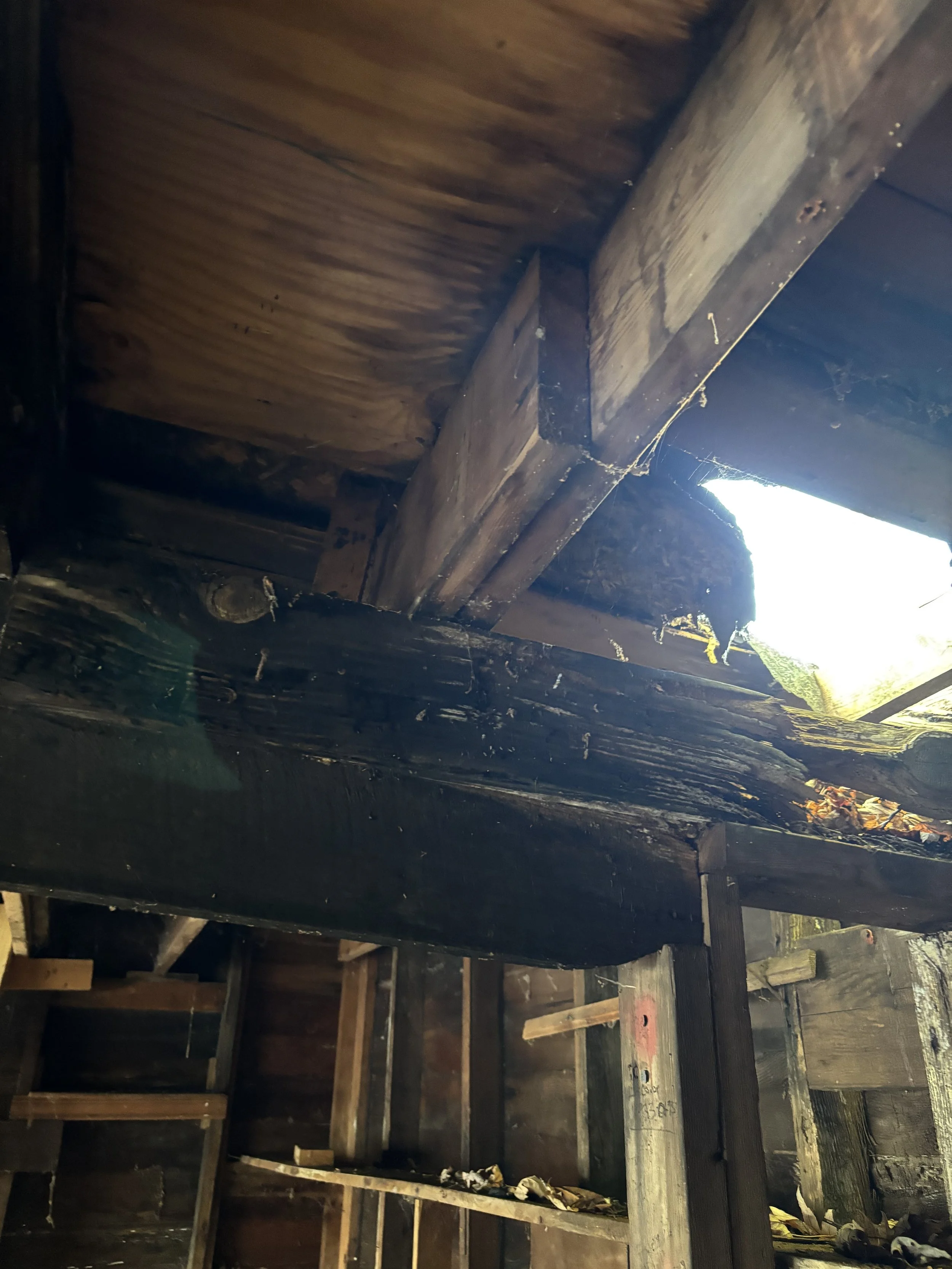 Photo Oct 02 2025, 8 34 36 AM.jpg