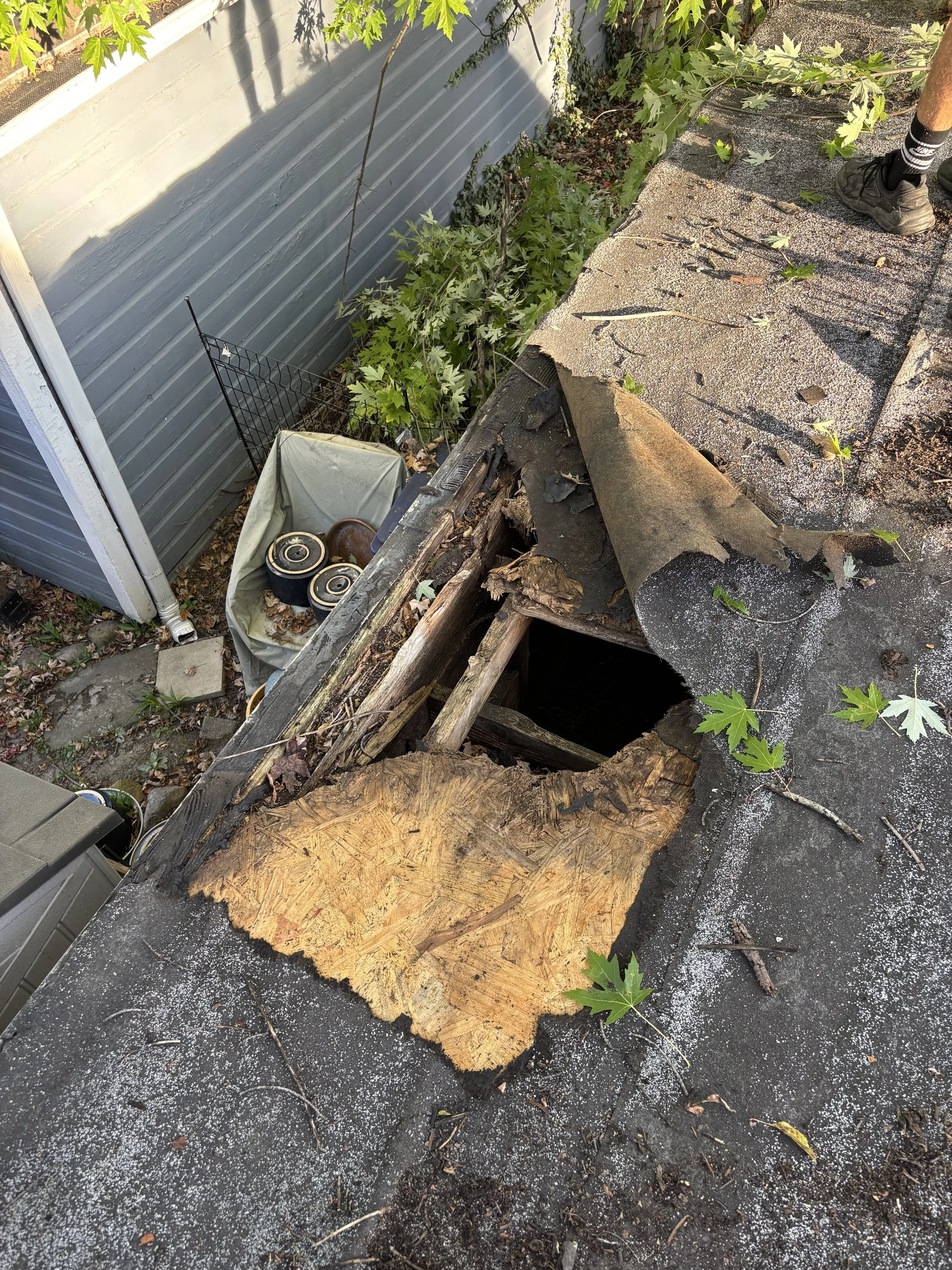 Photo Oct 02 2025, 8 48 59 AM.jpg