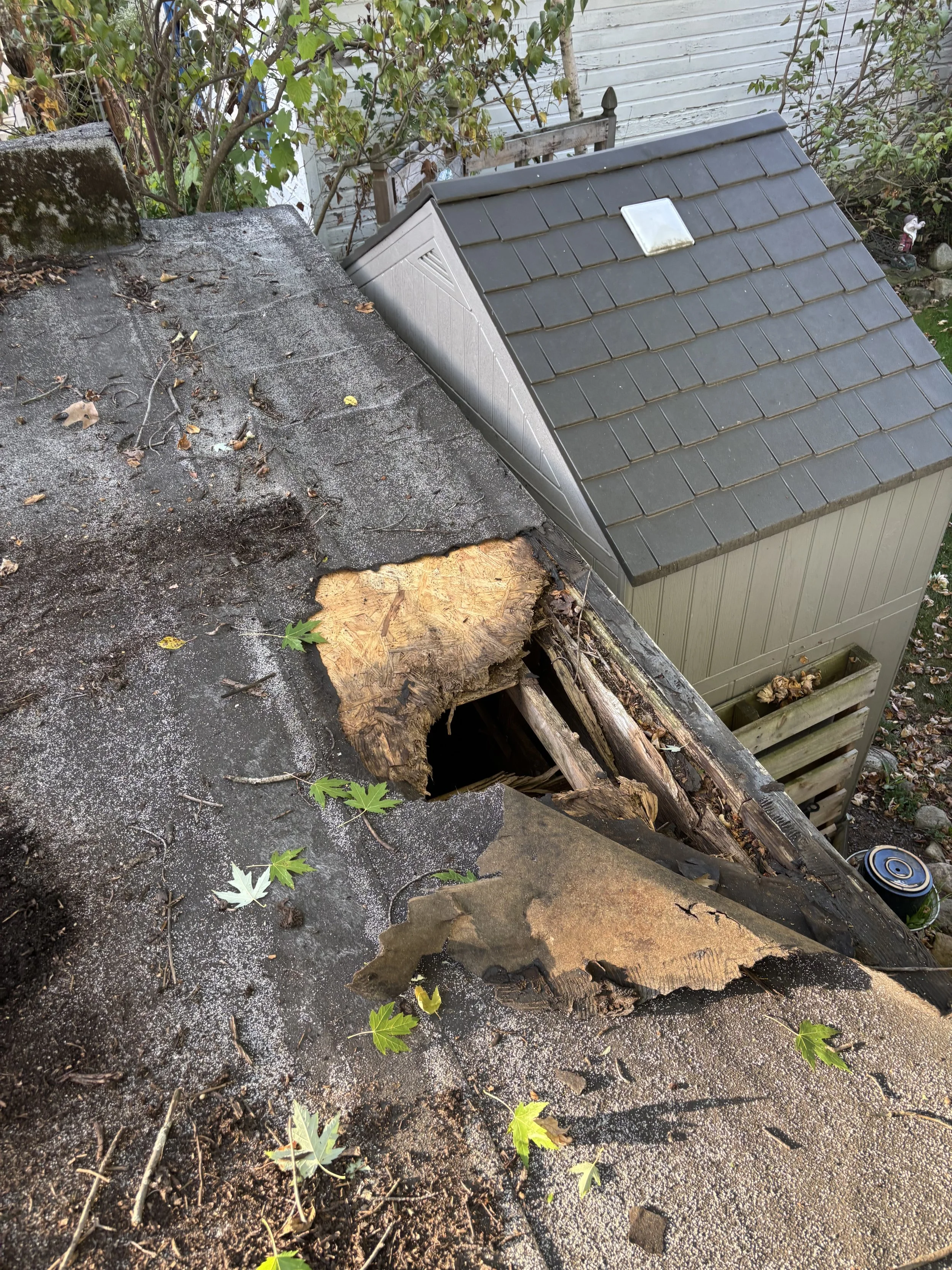 Photo Oct 02 2025, 8 49 05 AM.jpg