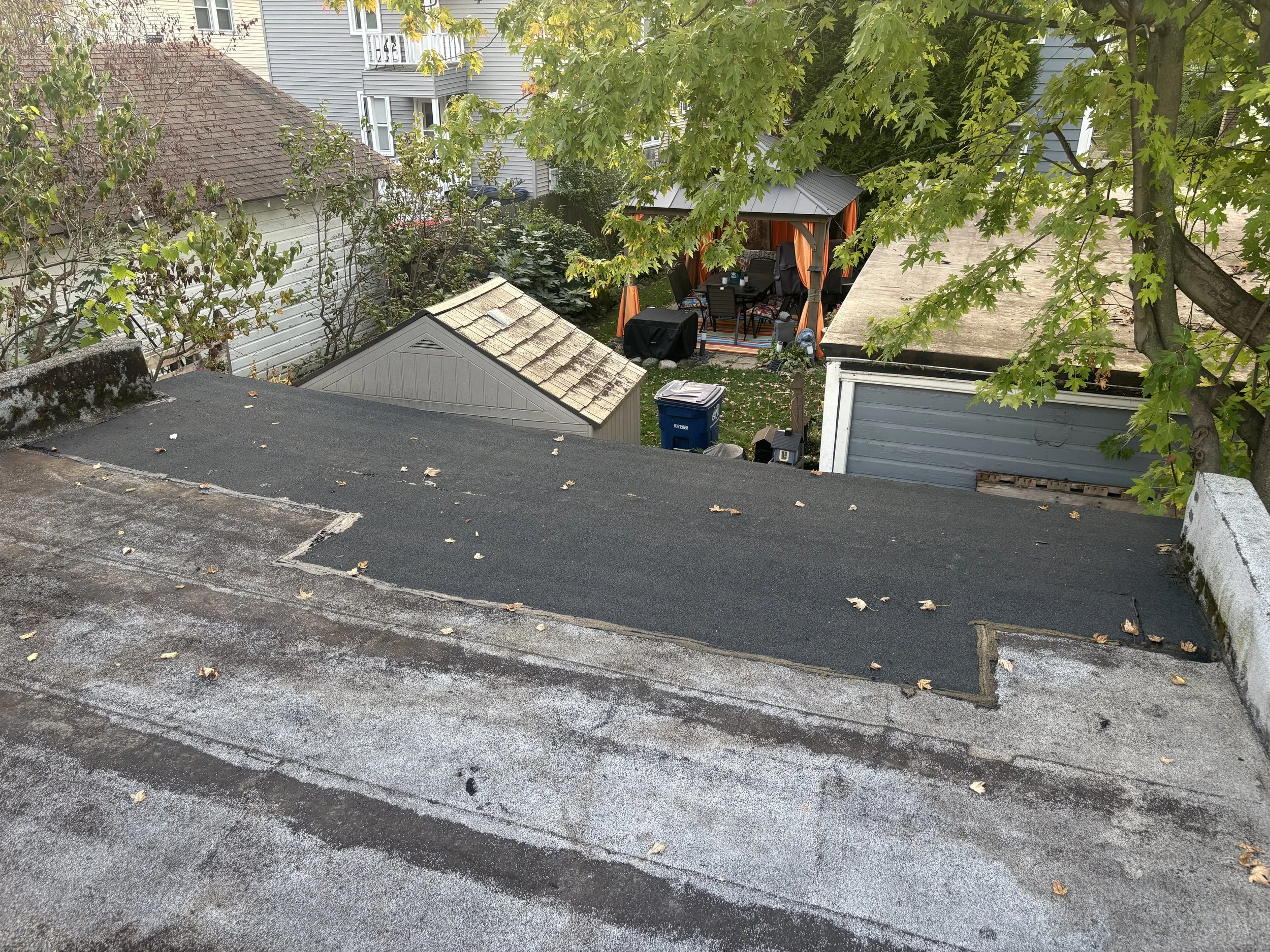 Photo Oct 04 2025, 6 43 50 PM.jpg