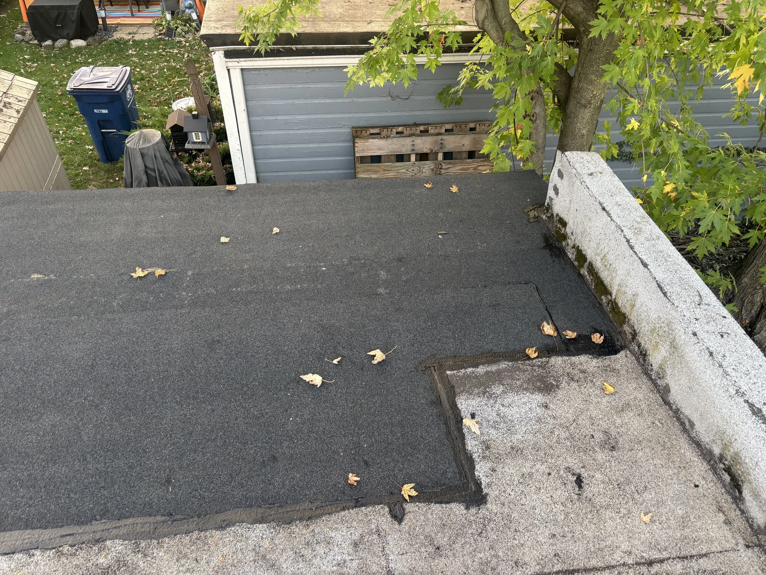 Photo Oct 04 2025, 6 43 57 PM.jpg