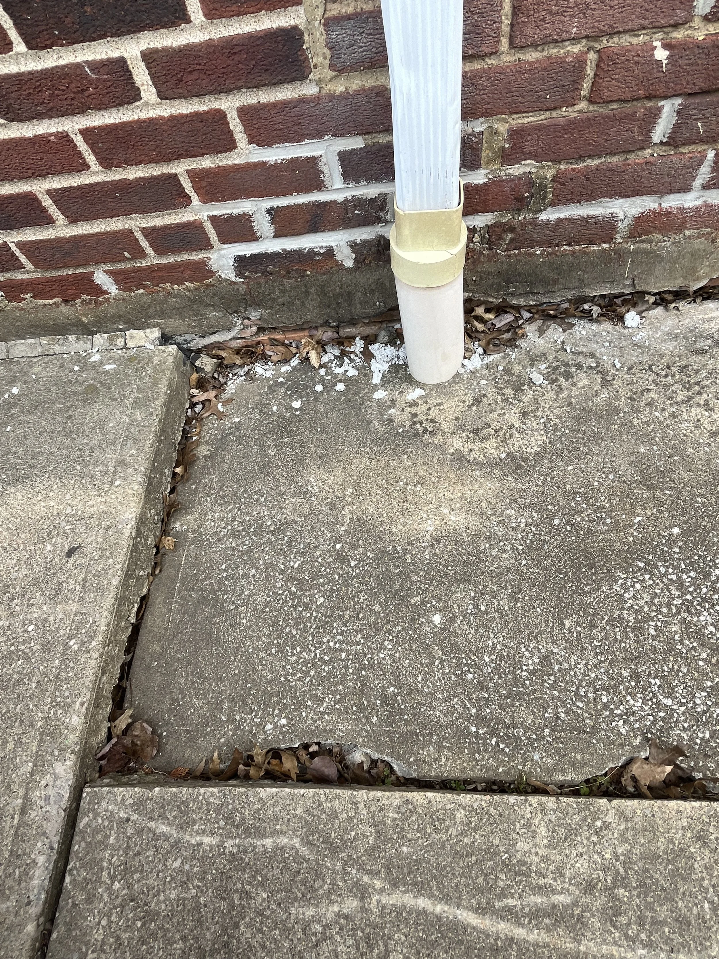 Photo Mar 25 2024, 12 17 41 PM.jpg