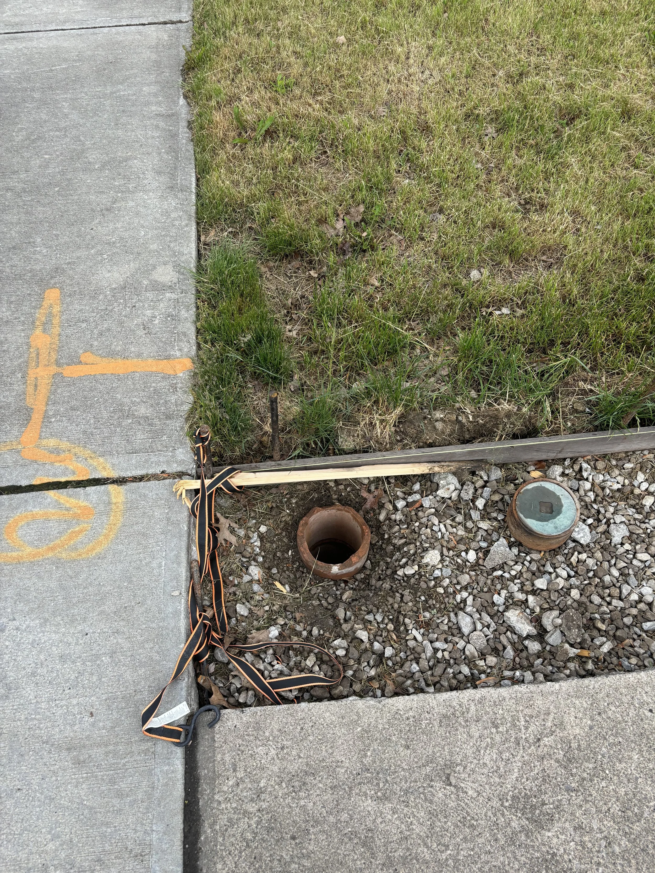 Photo May 17 2024, 4 00 57 PM.jpg