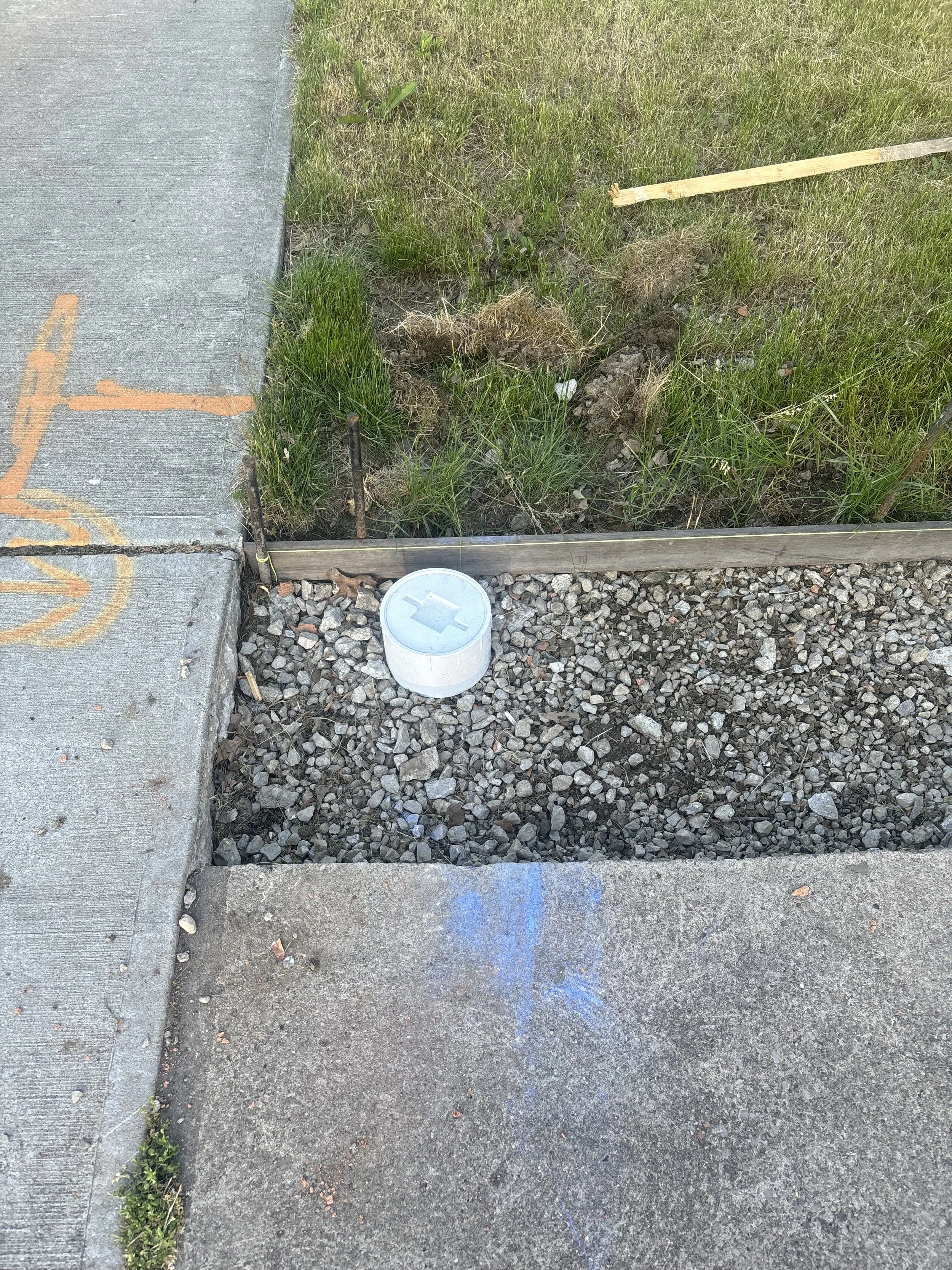 Photo May 18 2024, 7 26 04 PM.jpg