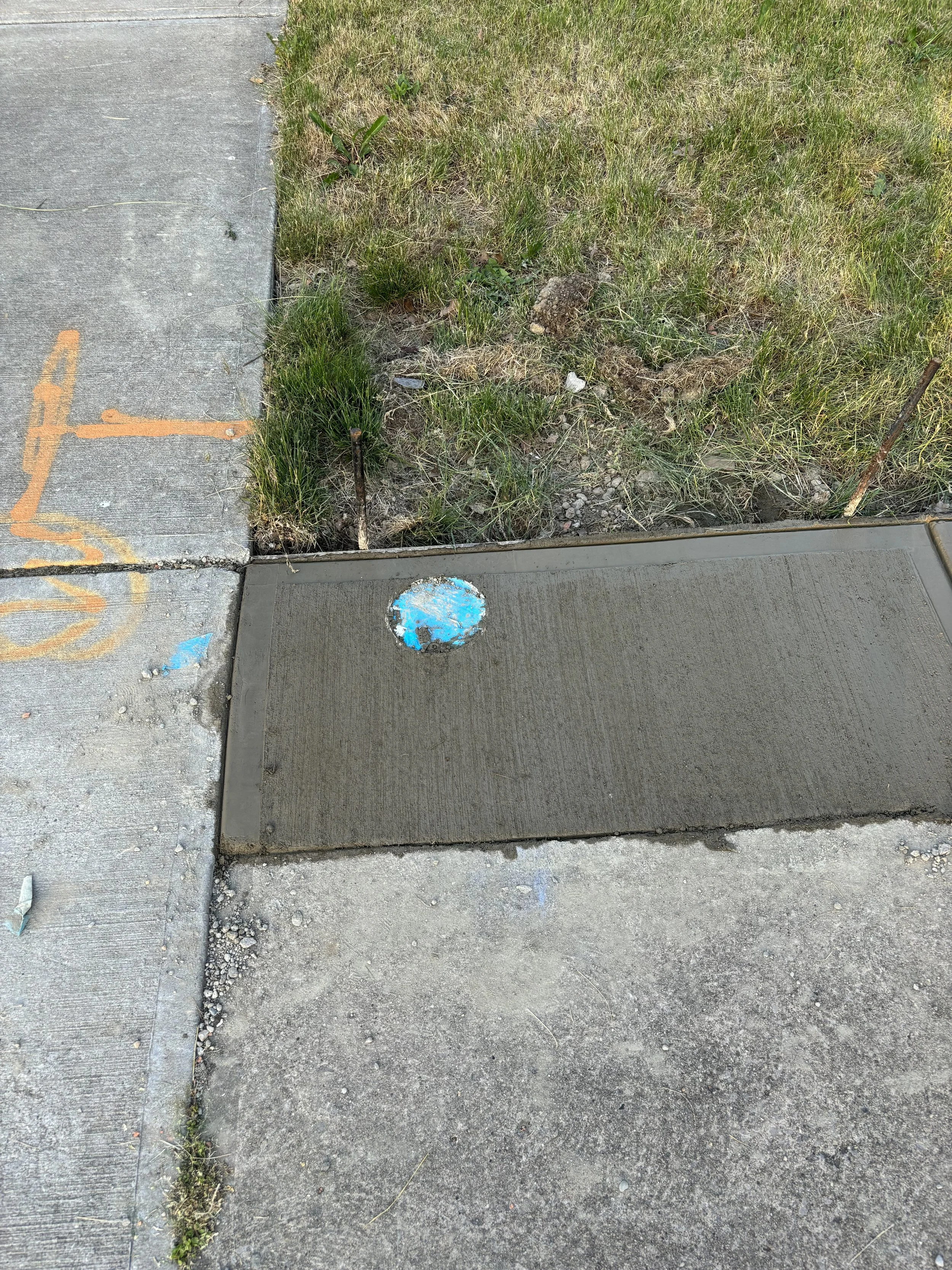 Photo May 21 2024, 8 00 38 PM.jpg