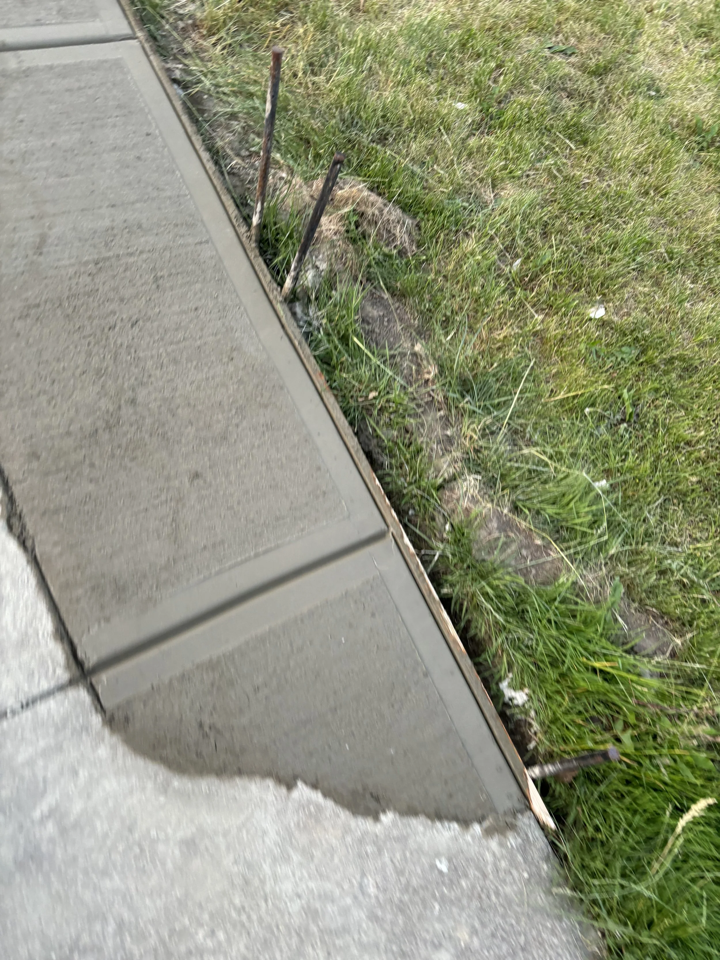 Photo May 21 2024, 8 33 39 PM.jpg