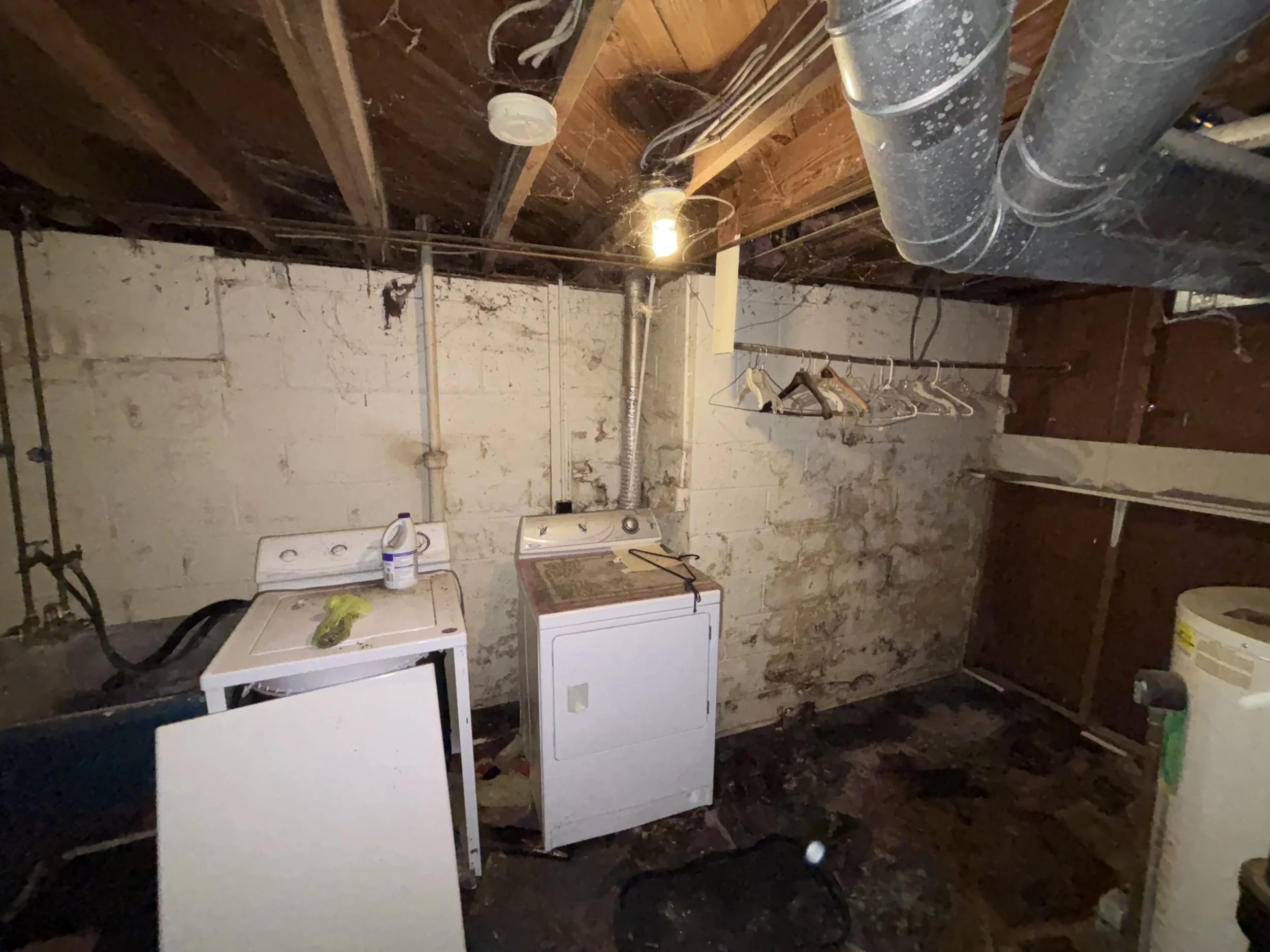 Photo May 24 2025, 6 26 29 PM.jpg