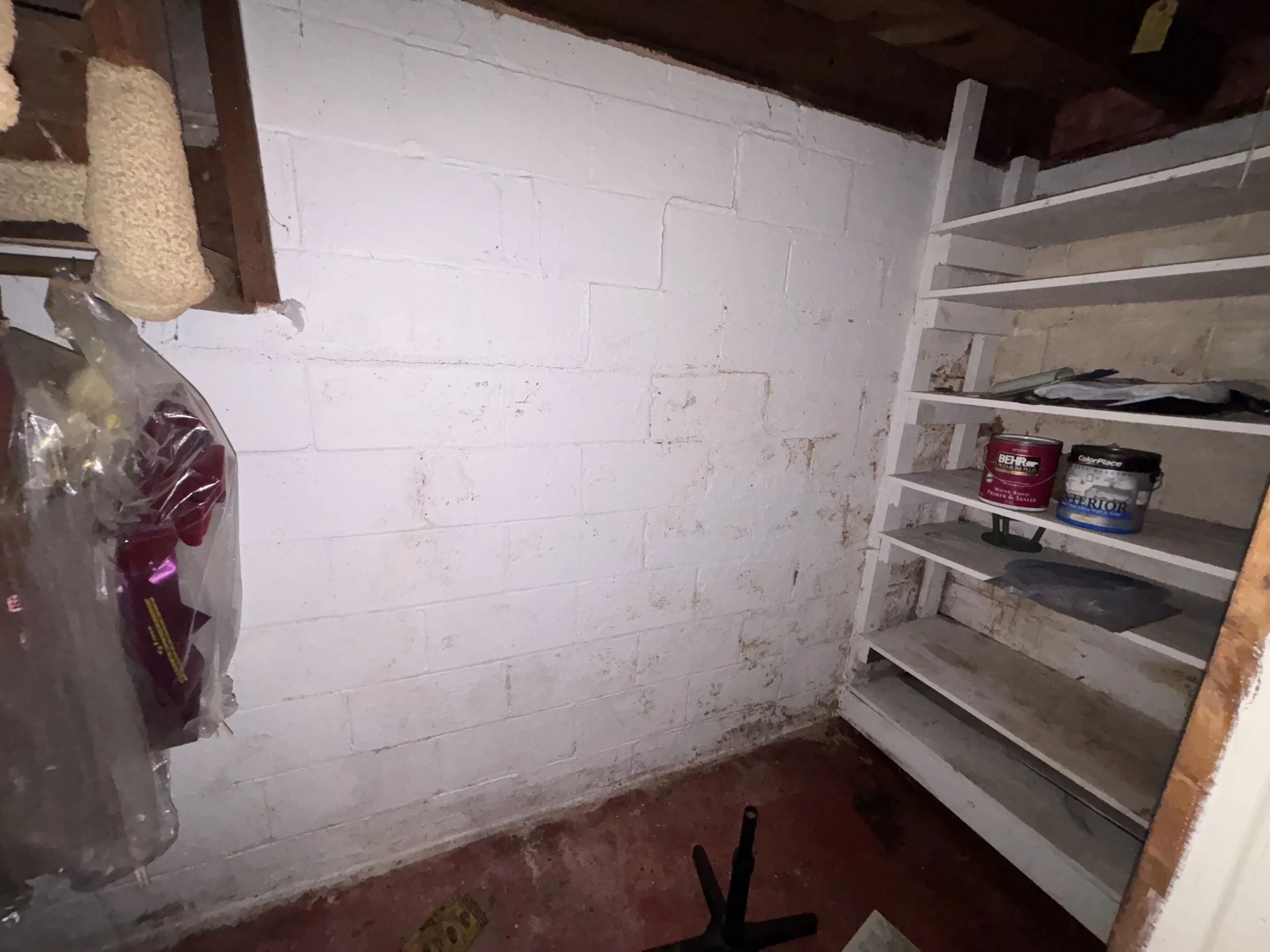 Photo May 24 2025, 6 26 39 PM.jpg