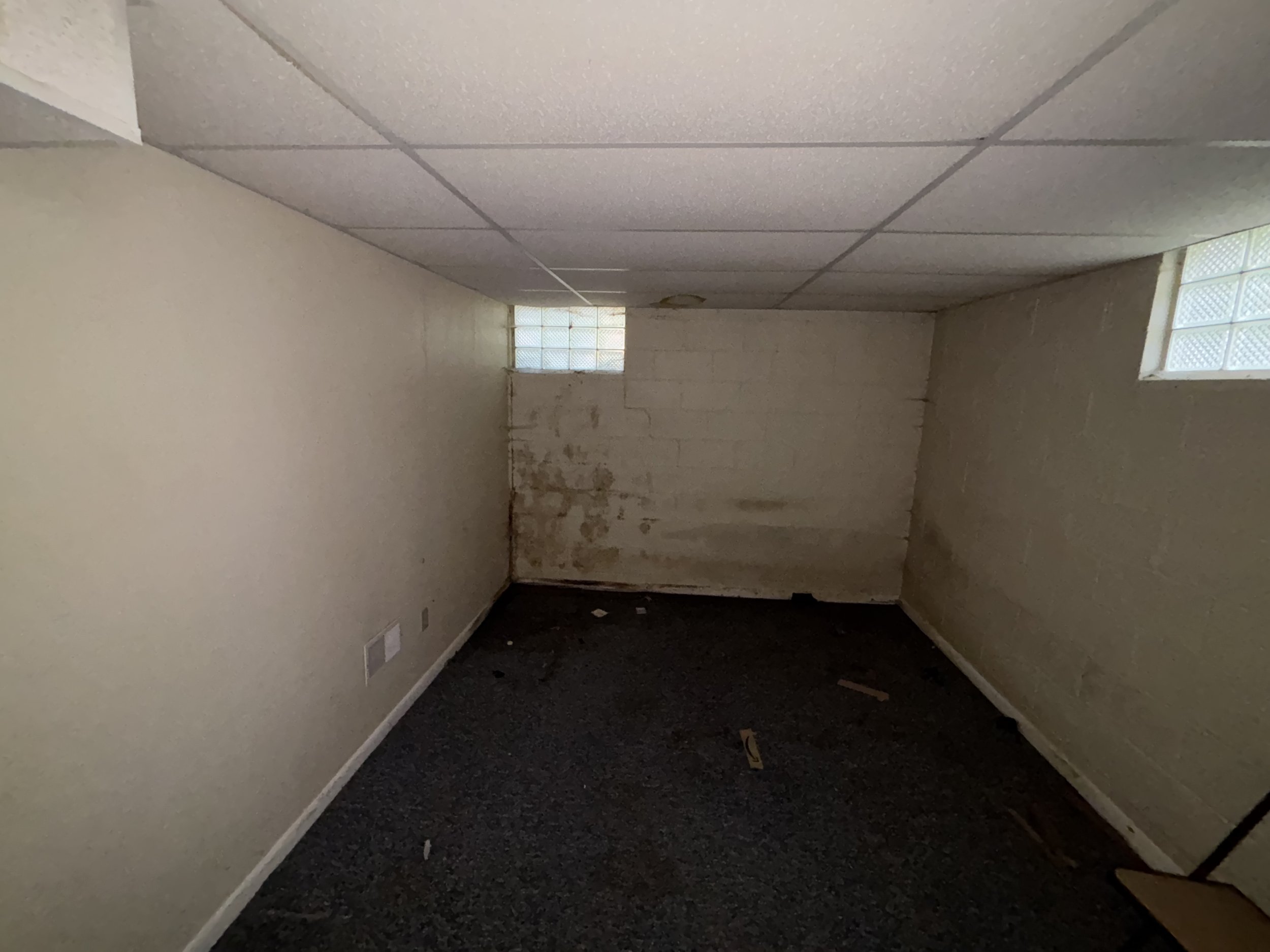 Photo May 24 2025, 6 27 40 PM.jpg