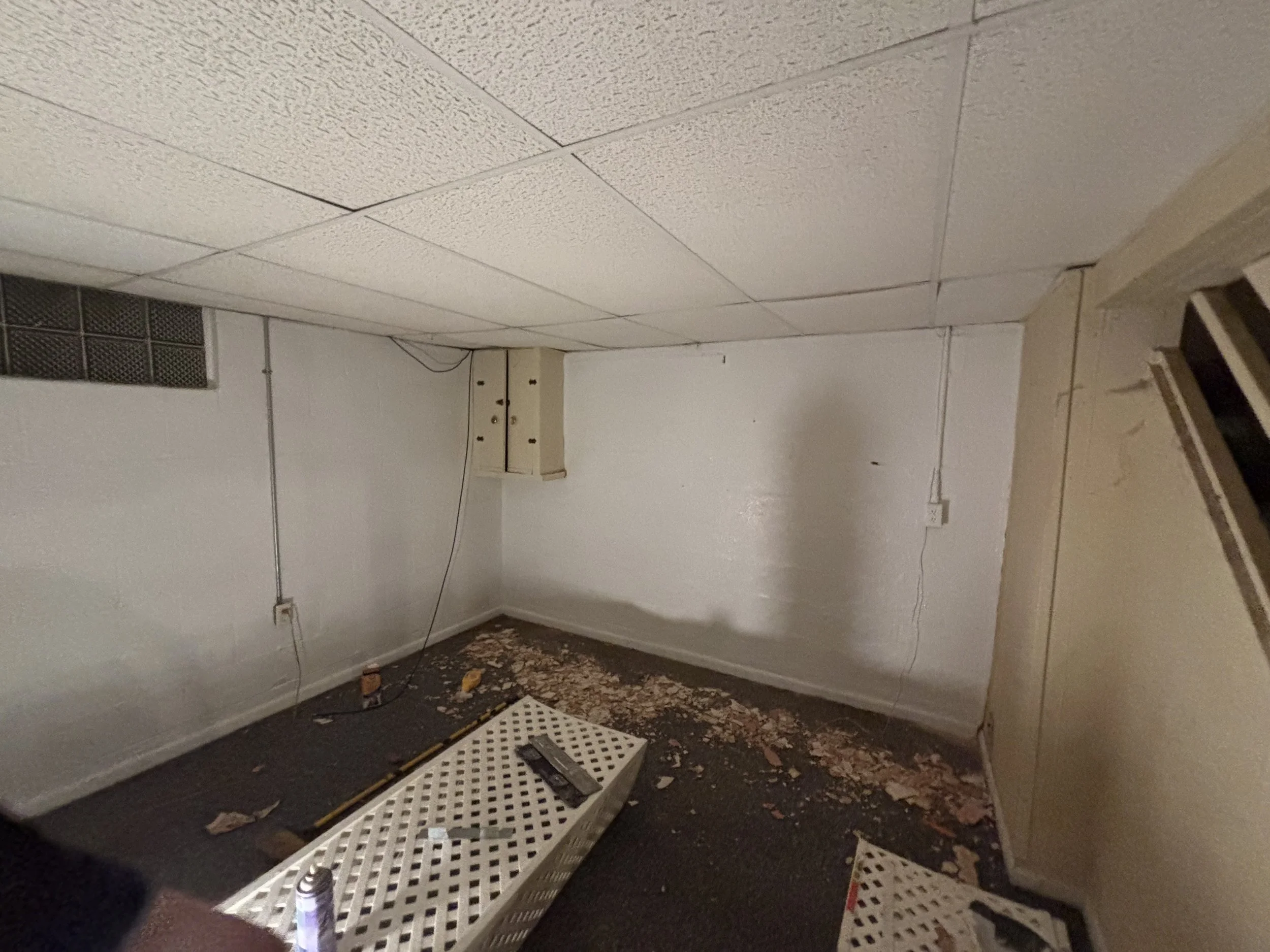 Photo May 24 2025, 11 02 13 PM.jpg