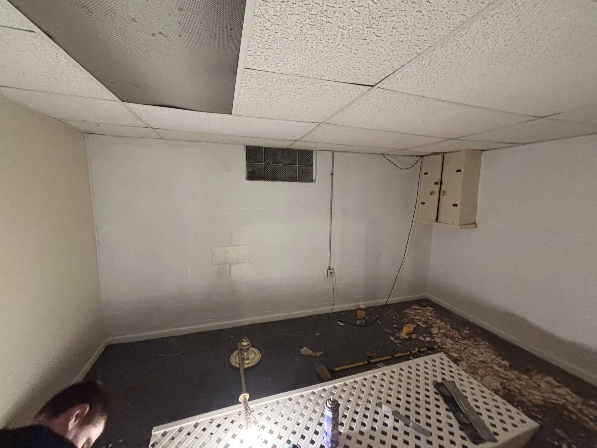 Photo May 24 2025, 11 02 15 PM.jpg