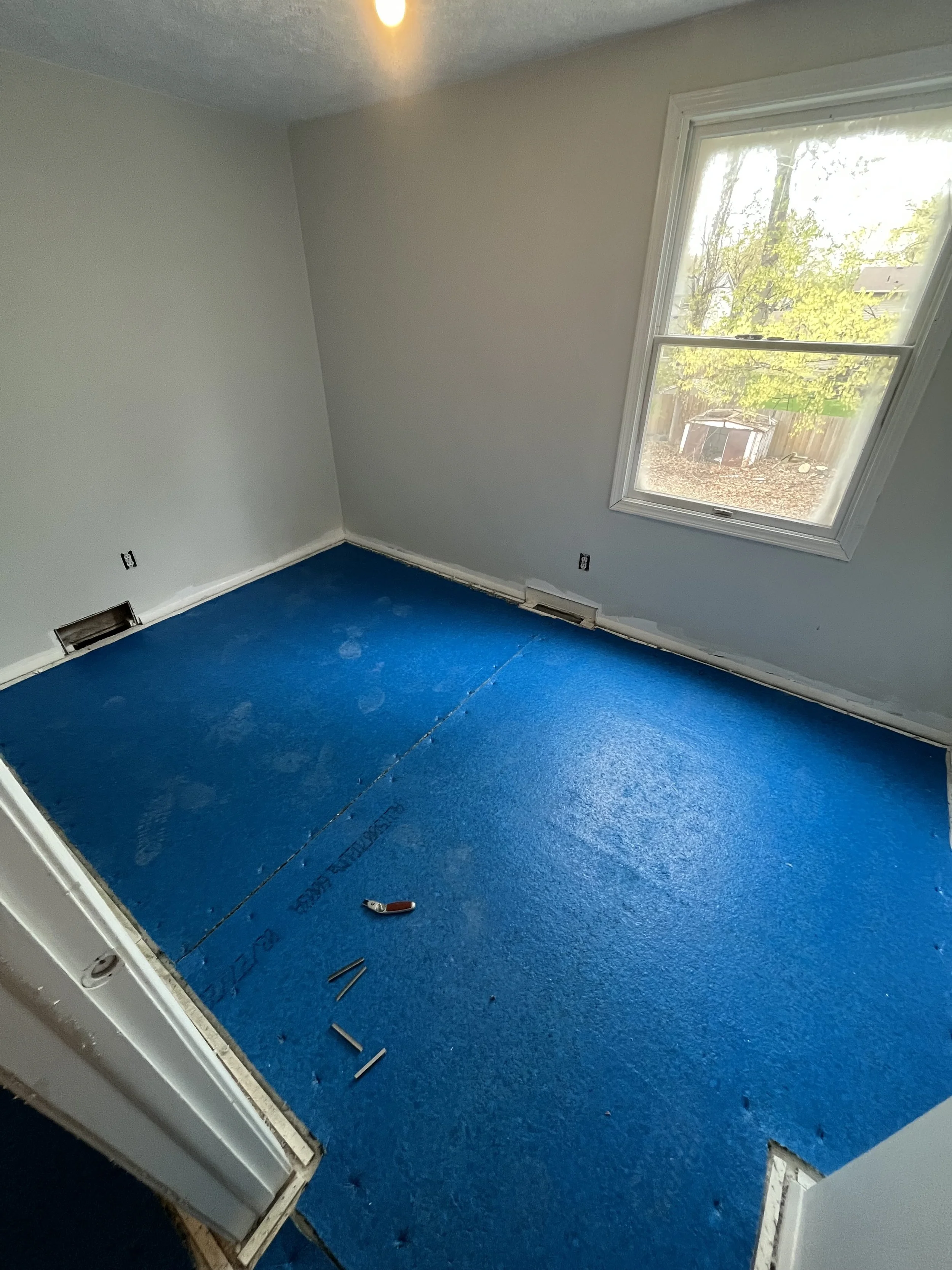 Photo Apr 23 2023, 1 21 08 PM.jpg