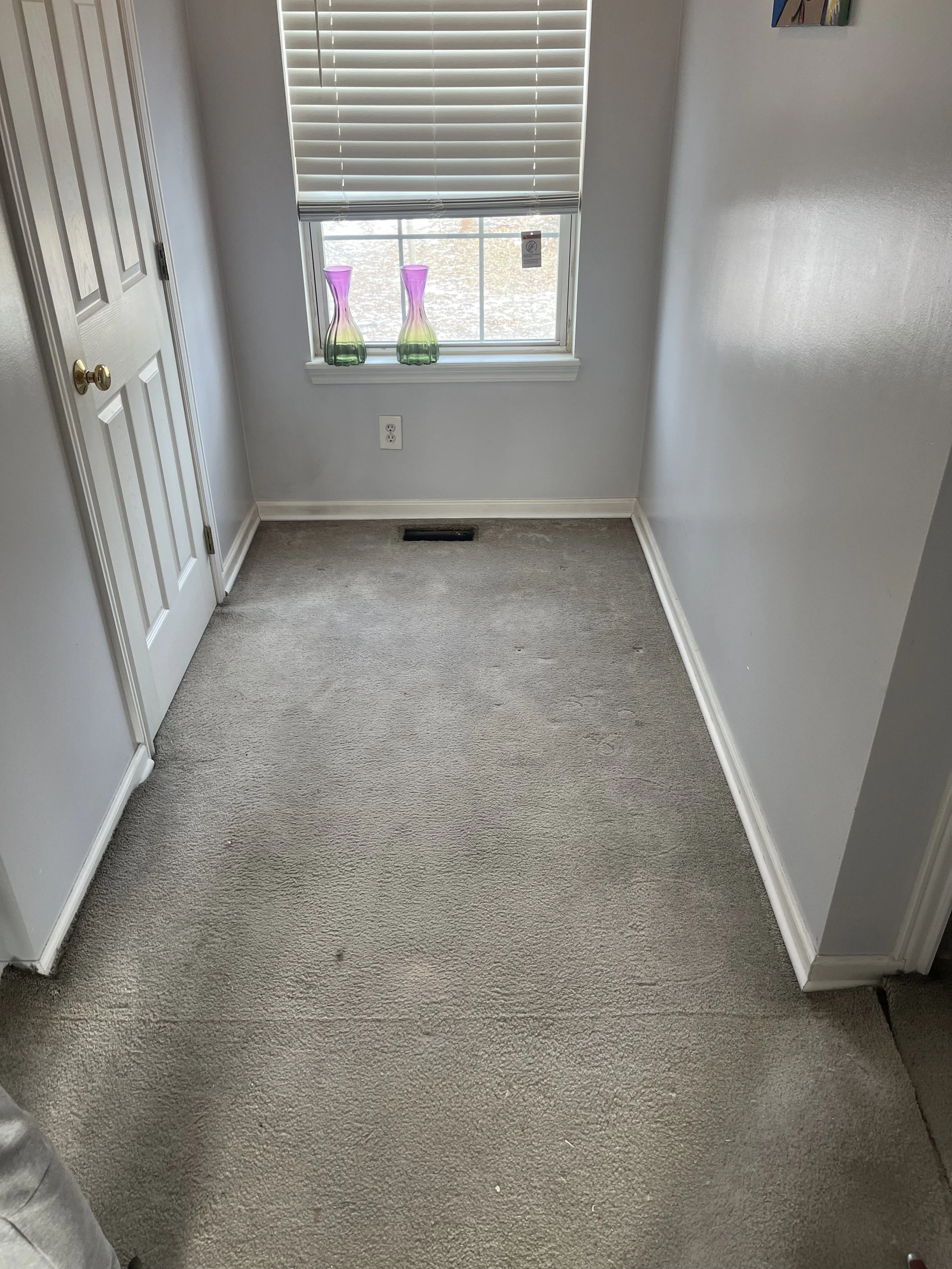 Photo Feb 04 2023, 11 44 04 AM.jpg