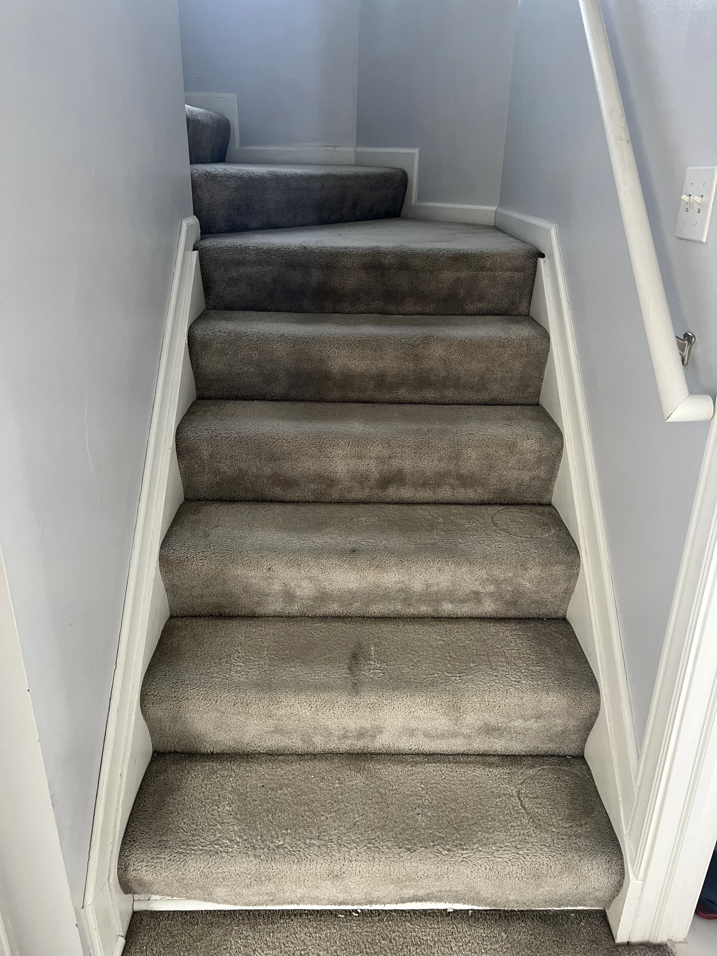 Photo Feb 04 2023, 11 44 28 AM.jpg