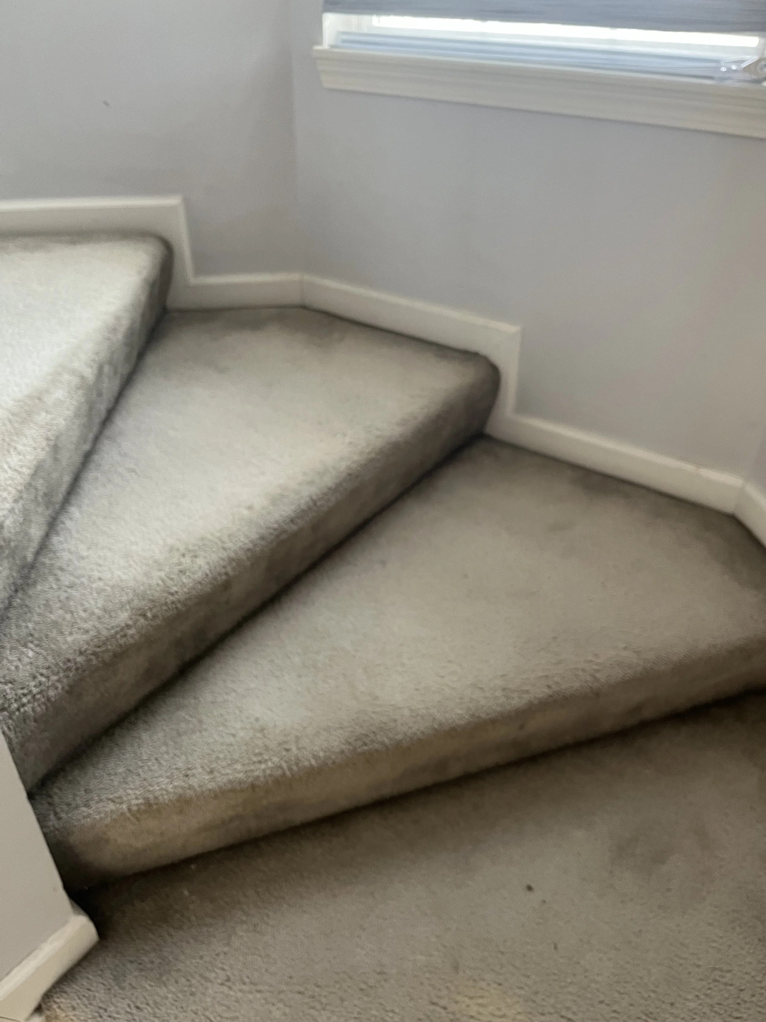 Photo Feb 04 2023, 11 44 43 AM.jpg