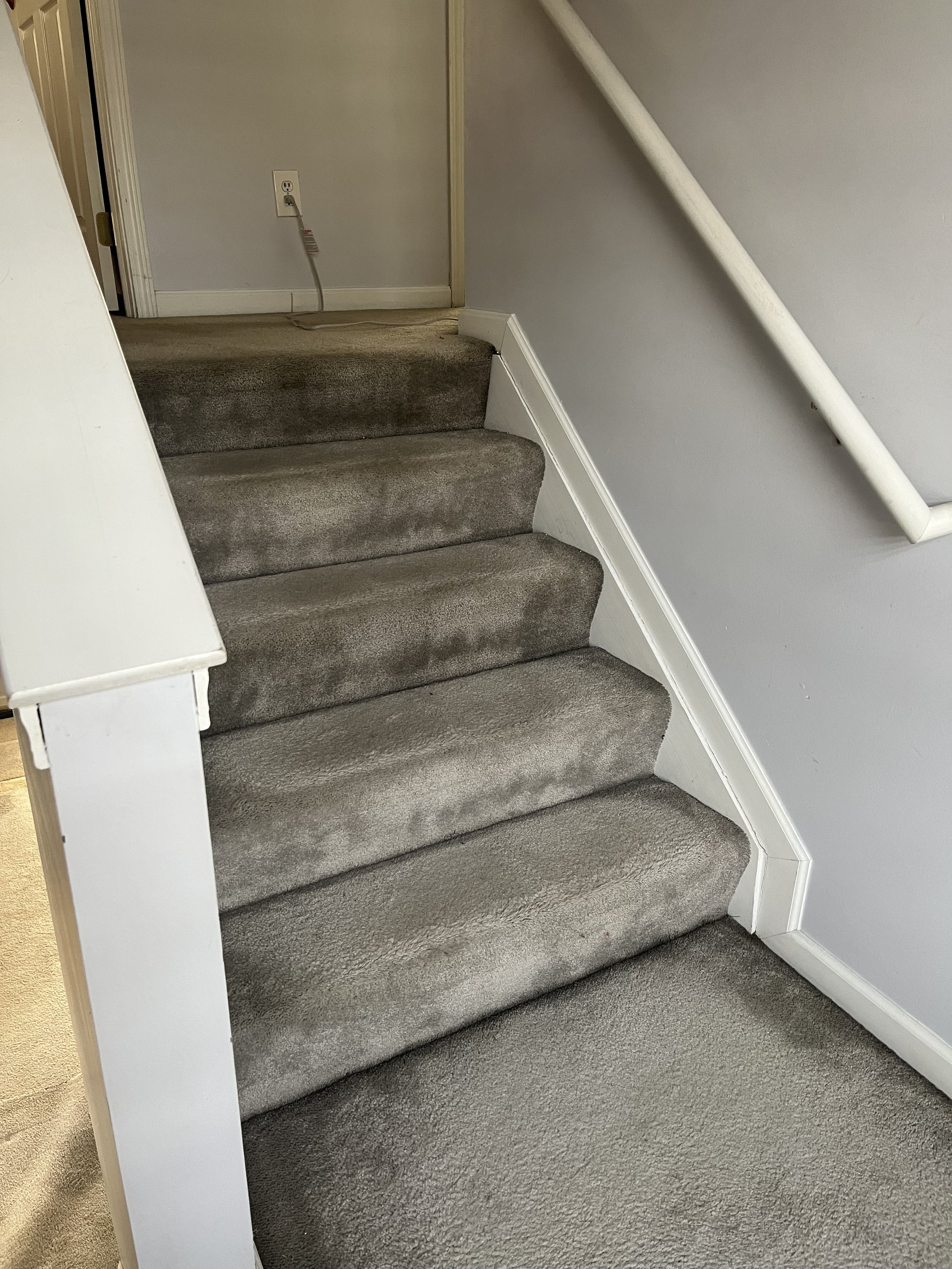 Photo Feb 04 2023, 11 44 47 AM.jpg