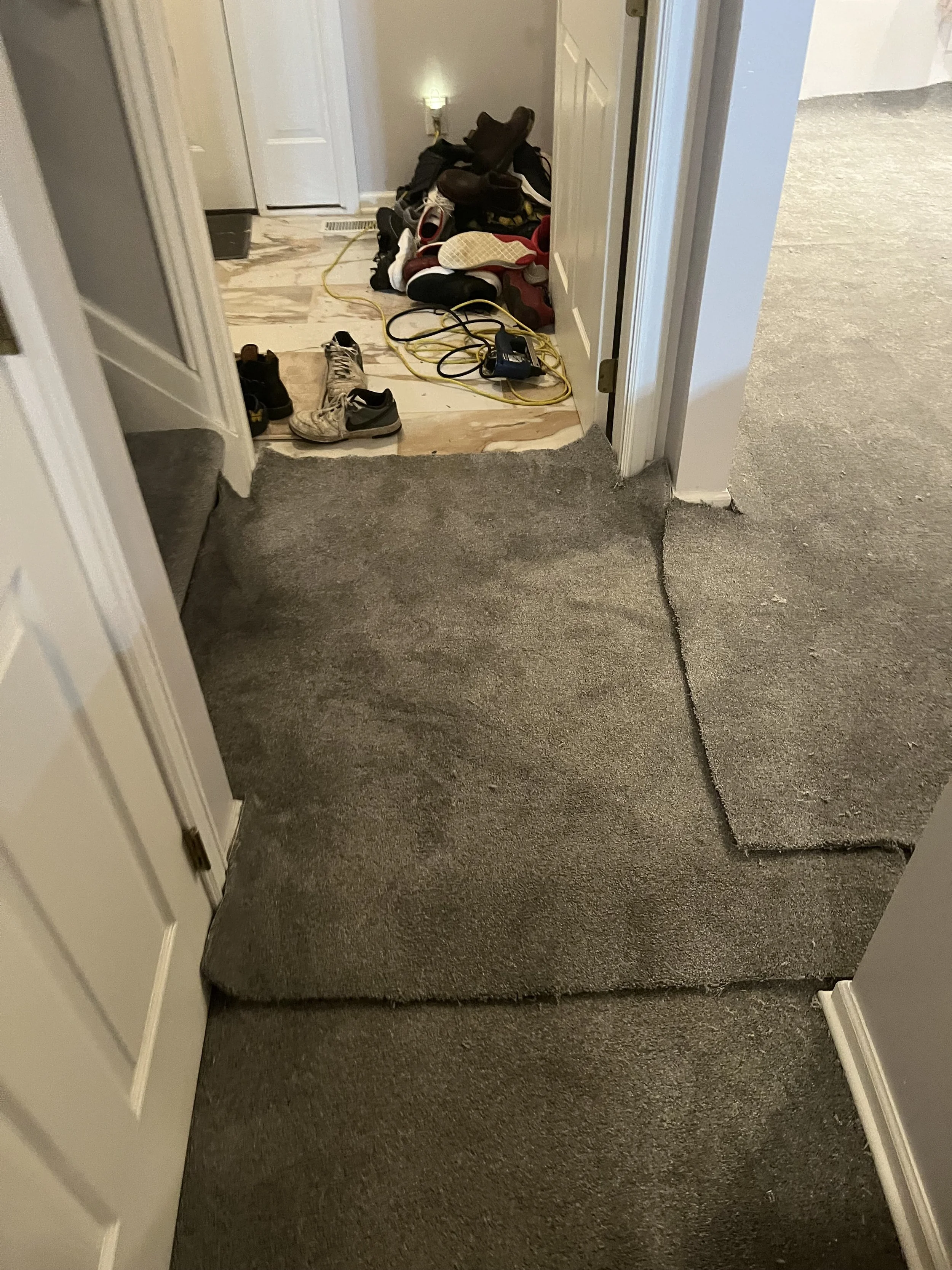 Photo Feb 05 2023, 5 50 05 PM.jpg