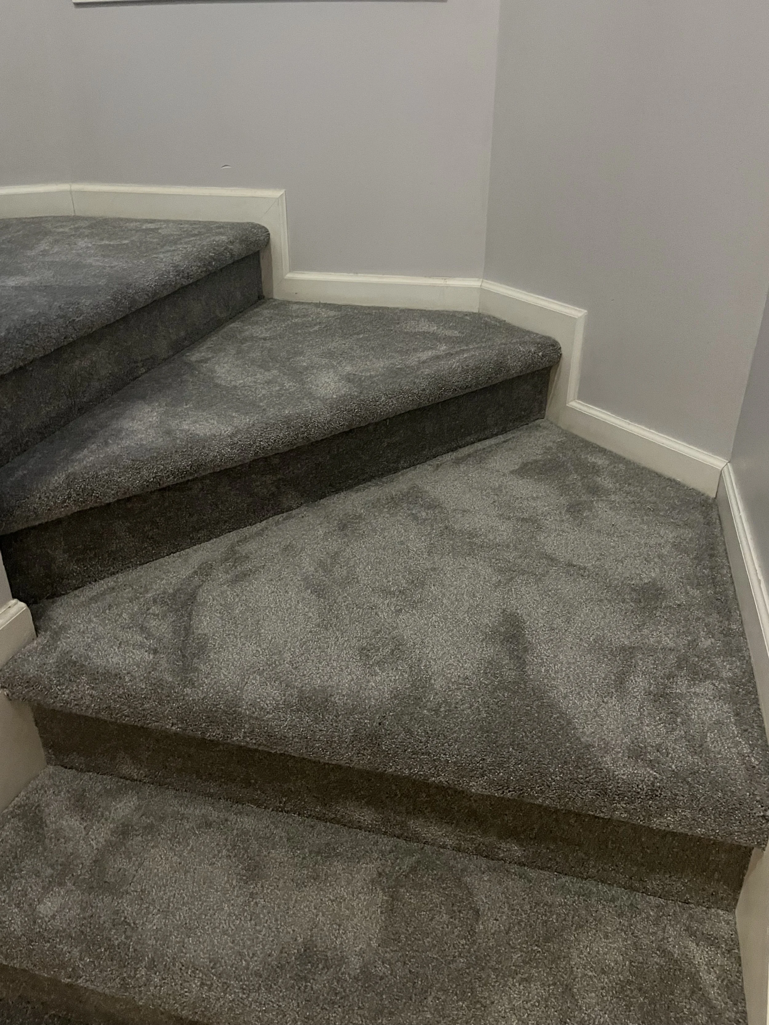 Photo Feb 05 2023, 5 50 32 PM.jpg