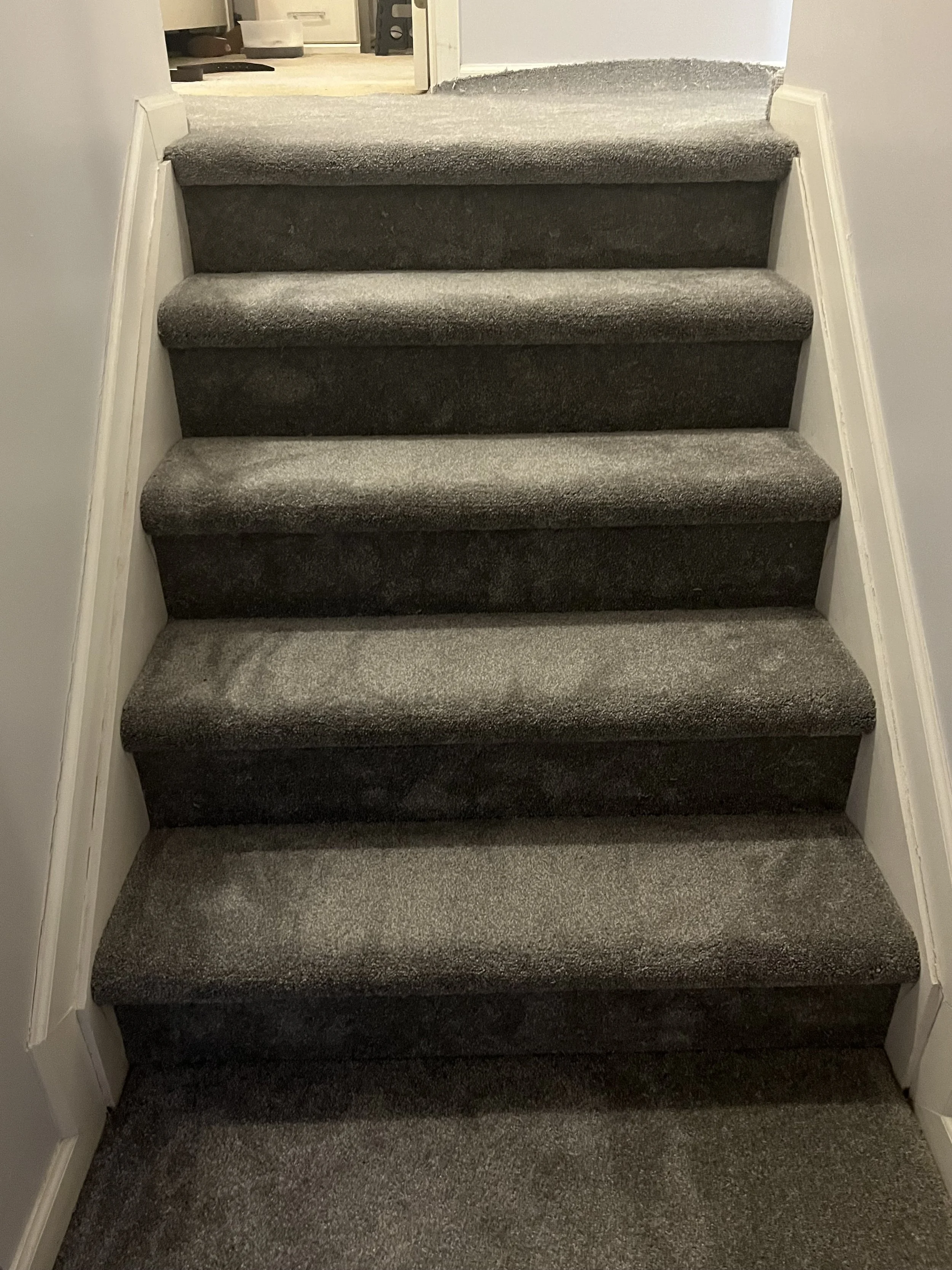 Photo Feb 05 2023, 5 50 41 PM.jpg