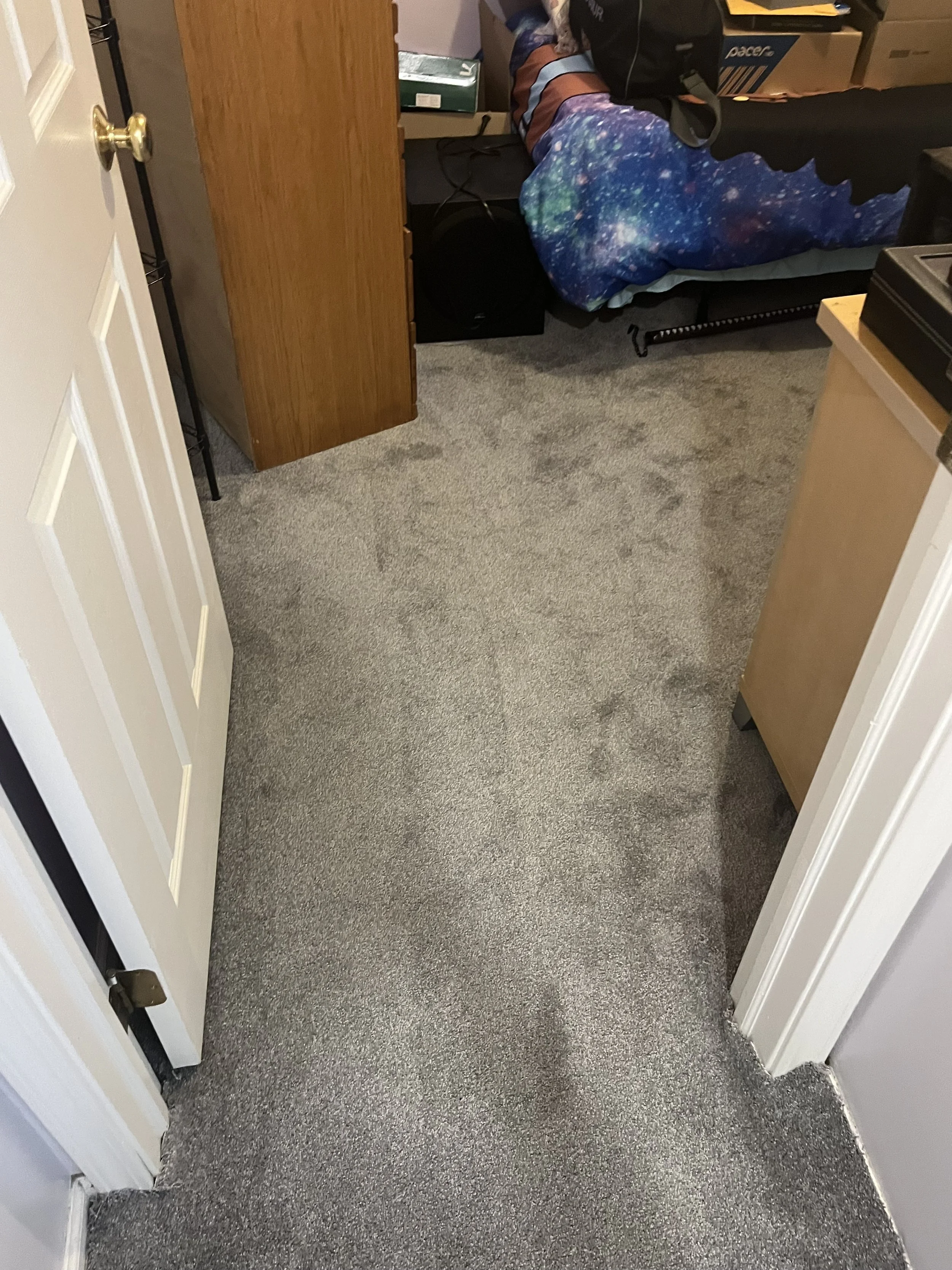 Photo Feb 05 2023, 5 50 54 PM.jpg