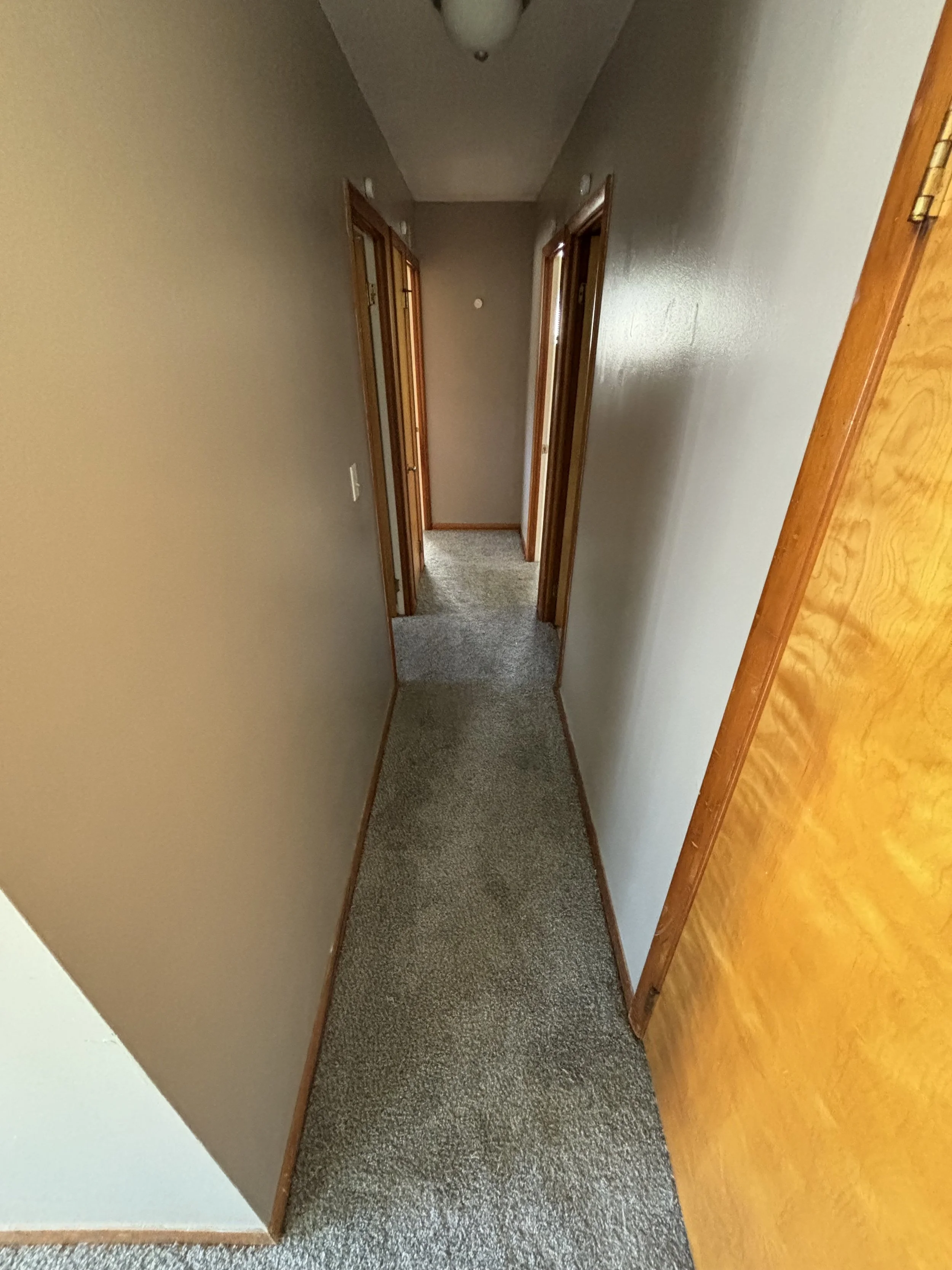 Photo Oct 02 2024, 1 49 30 PM.jpg