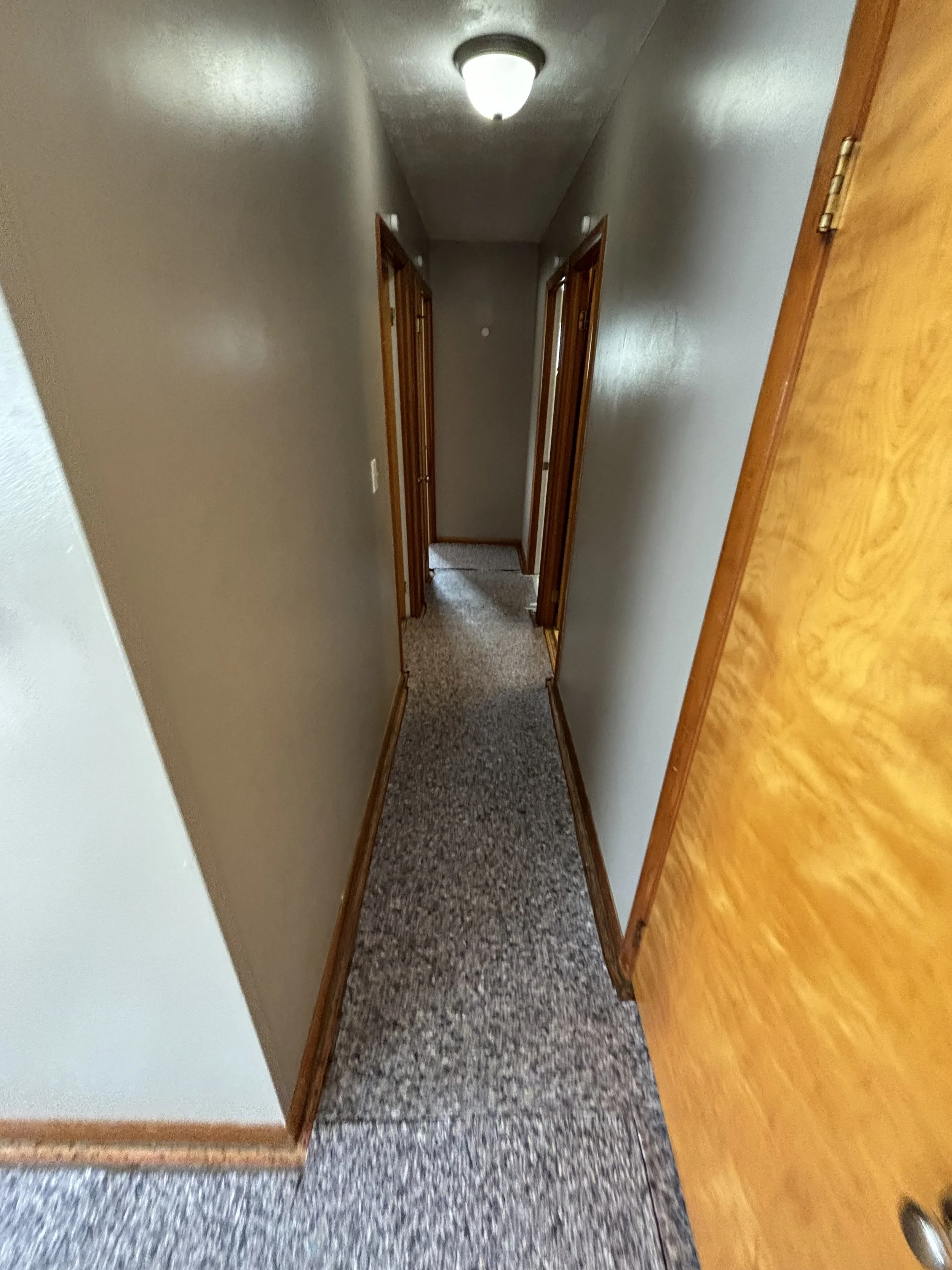 Photo Oct 02 2024, 10 48 10 AM.jpg