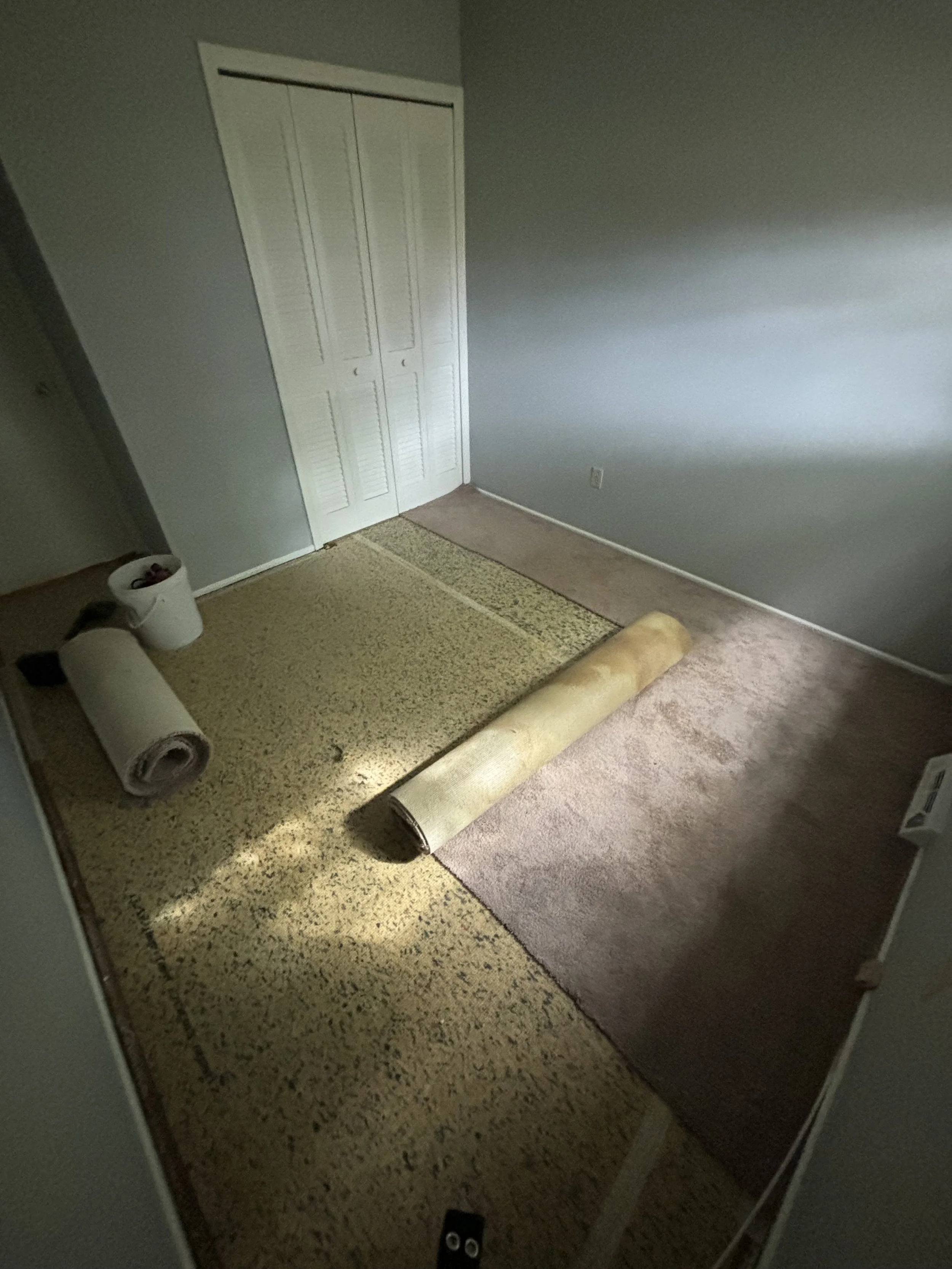 Photo Sep 26 2024, 11 13 33 AM.jpg