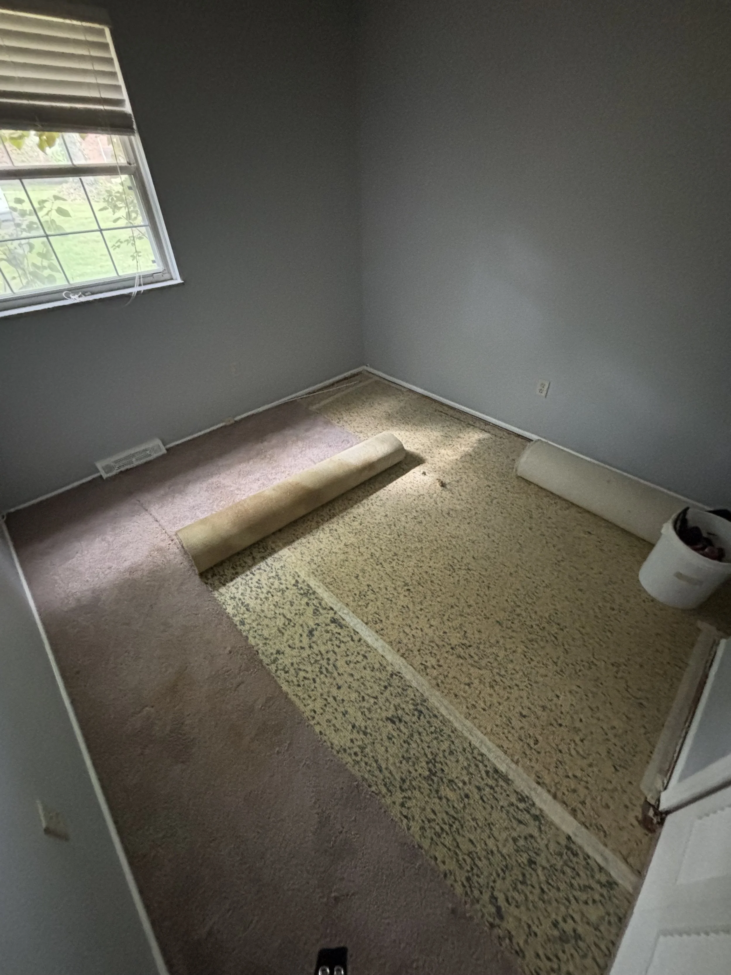 Photo Sep 26 2024, 11 13 40 AM.jpg