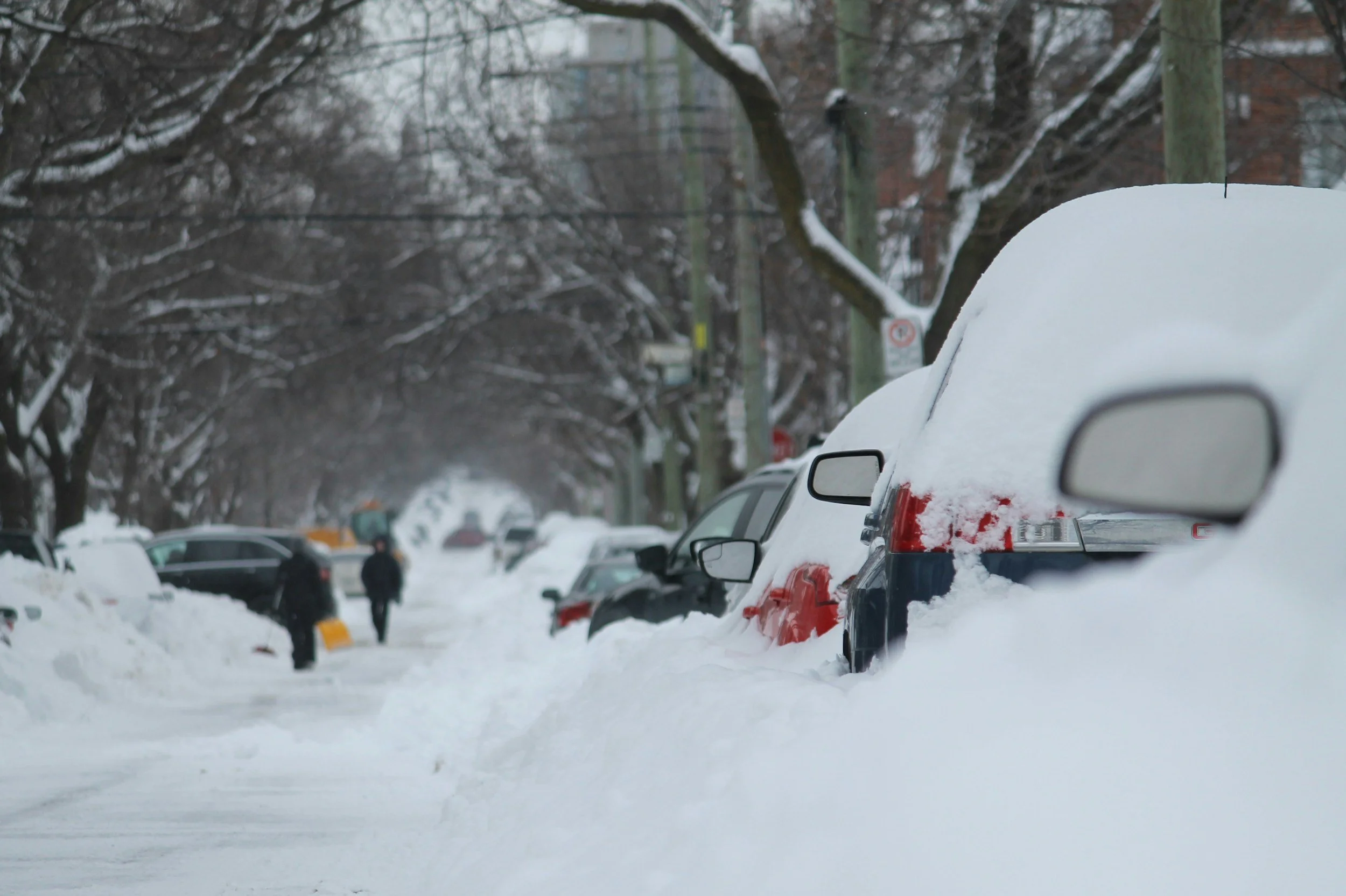 Winter Storm Update - Refuse Collection 