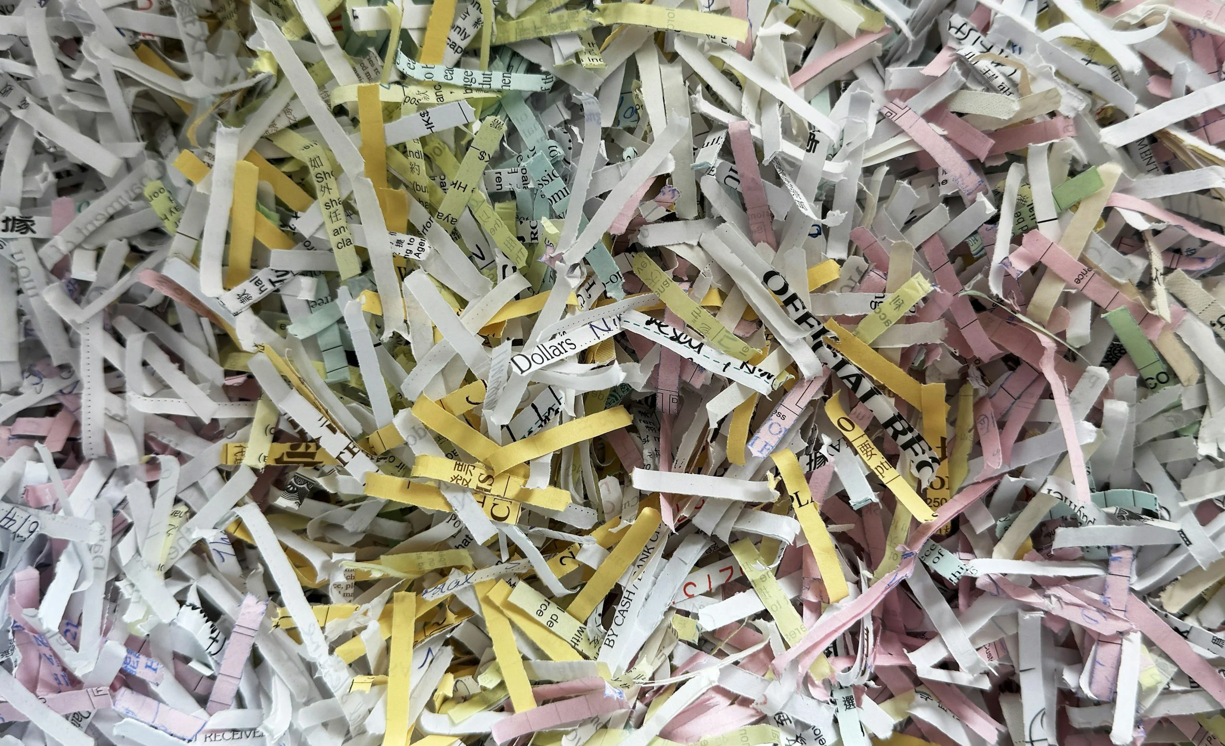 Shredding Day 