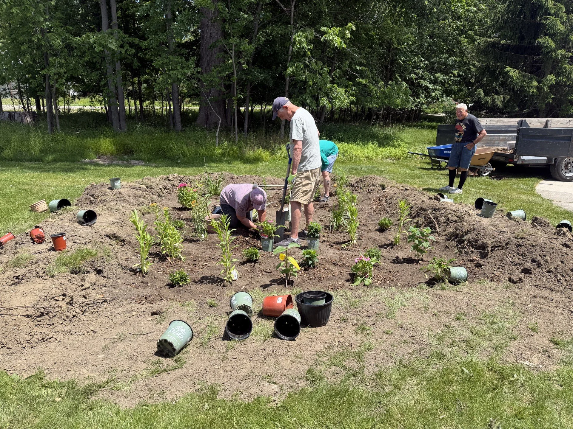 Raingarden6.jpg