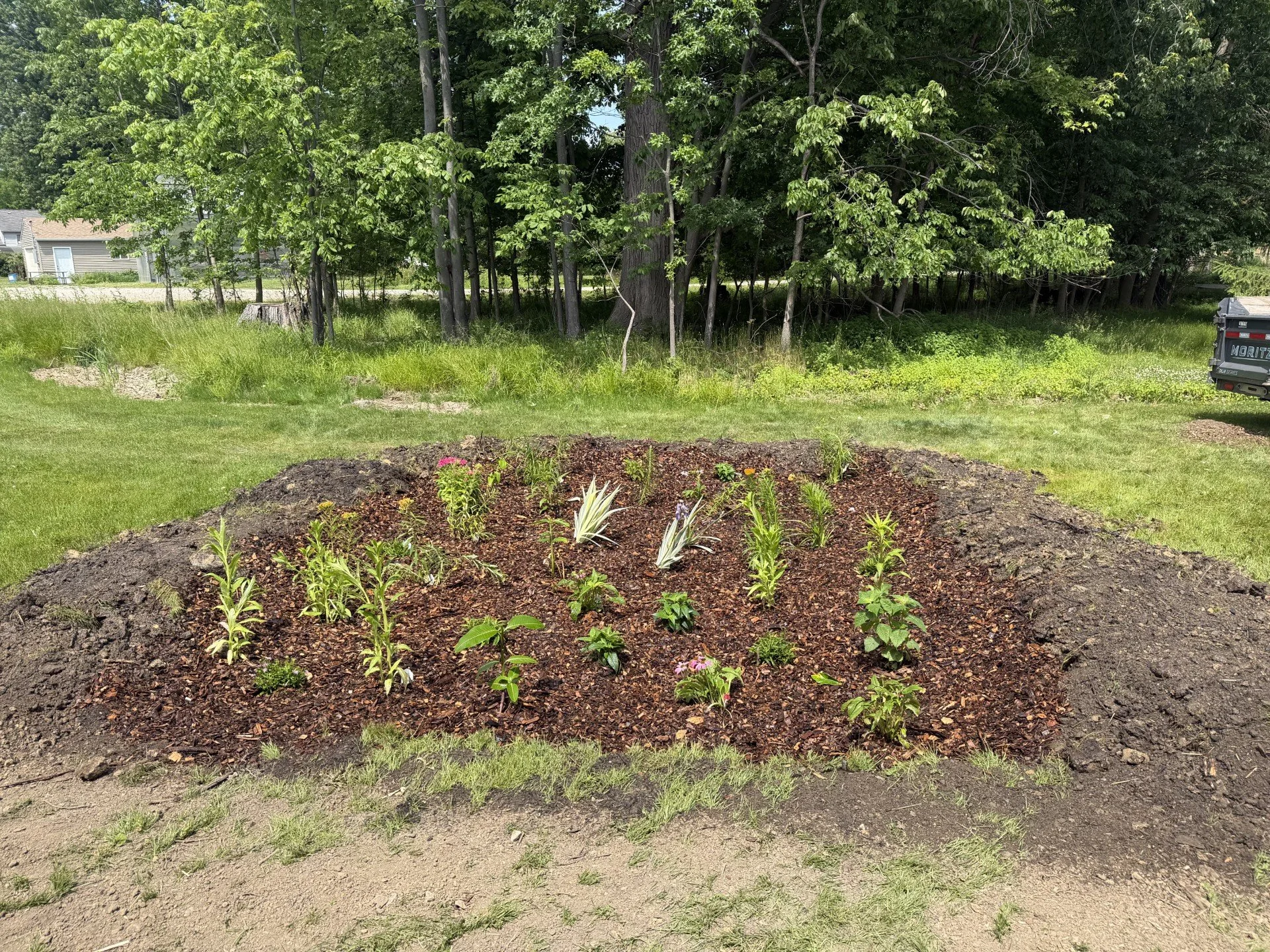 Raingarden8.jpg