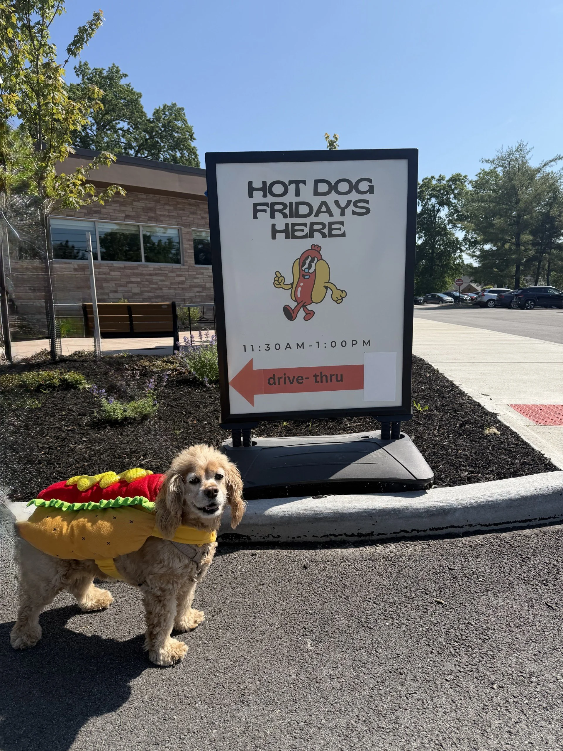 Hot dog Friday2.jpg