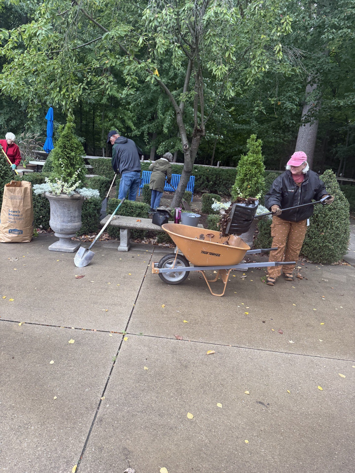 Fallcleanup4.jpg
