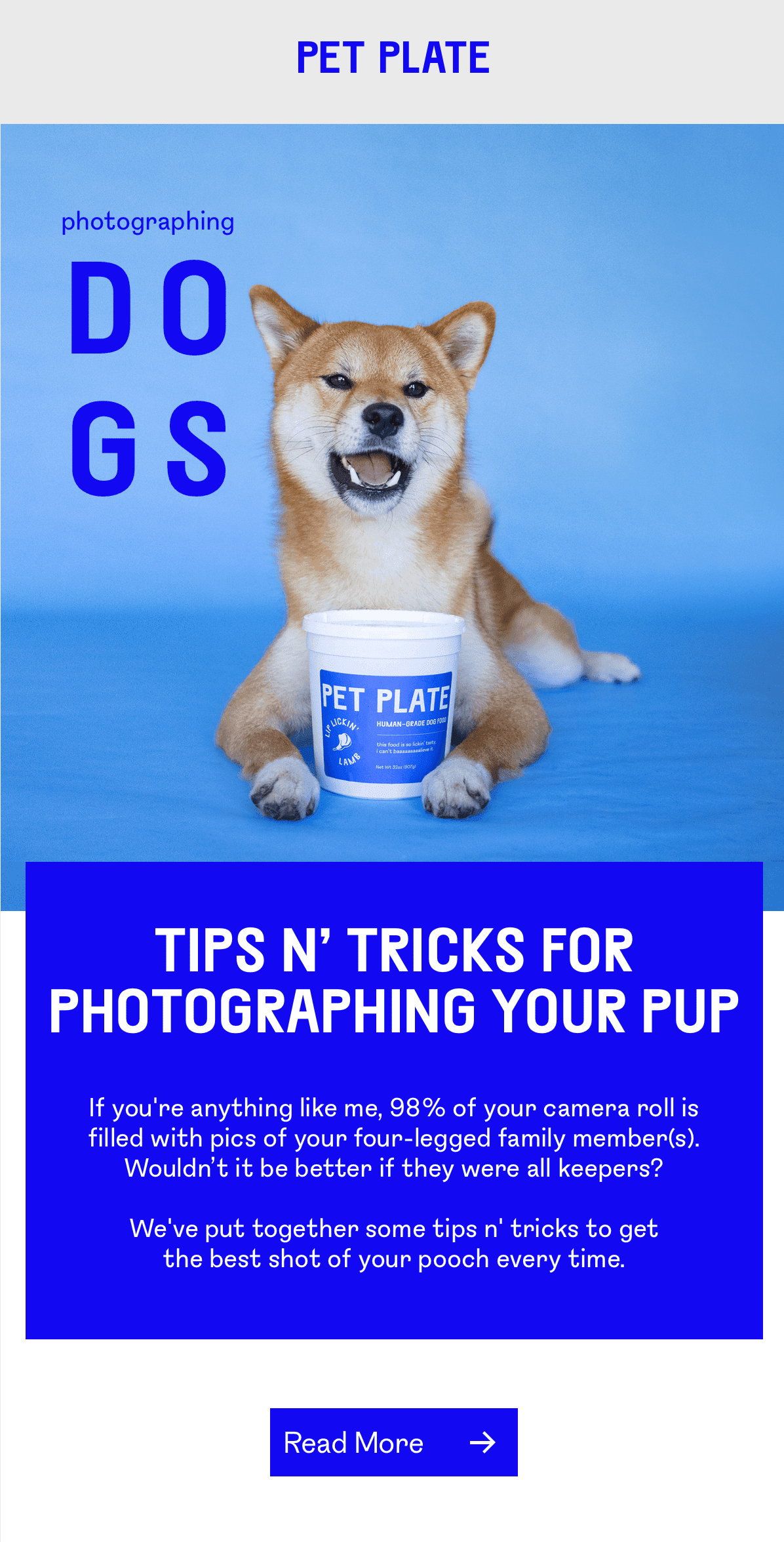 A happy dog sitting behind a Pet Plate container against a blue background. The text reads, 'Photographing Dogs: Tips n' Tricks for Photographing Your Pup,' with a call to action button labeled 'Read More.'