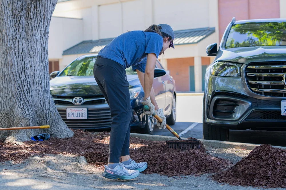 Volunteers serving together