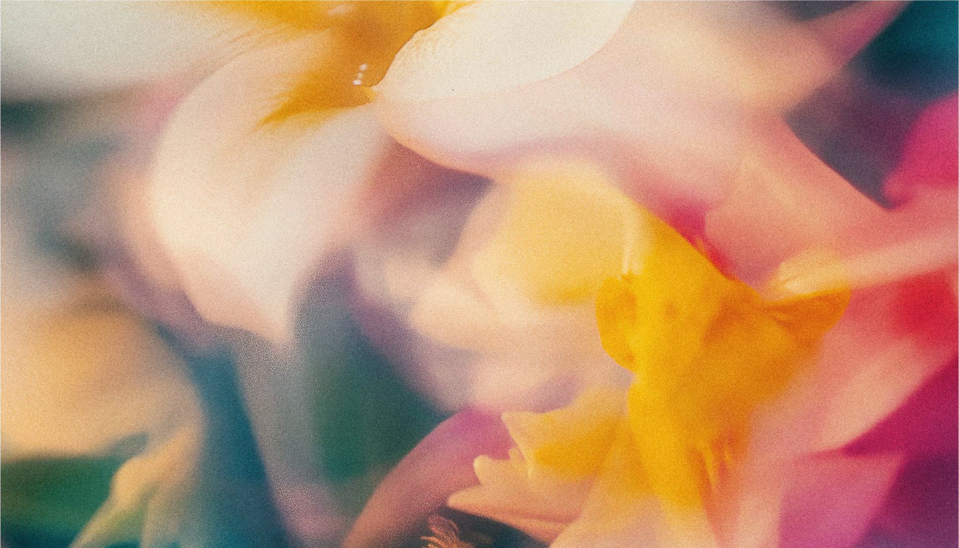 Easter Background.jpg