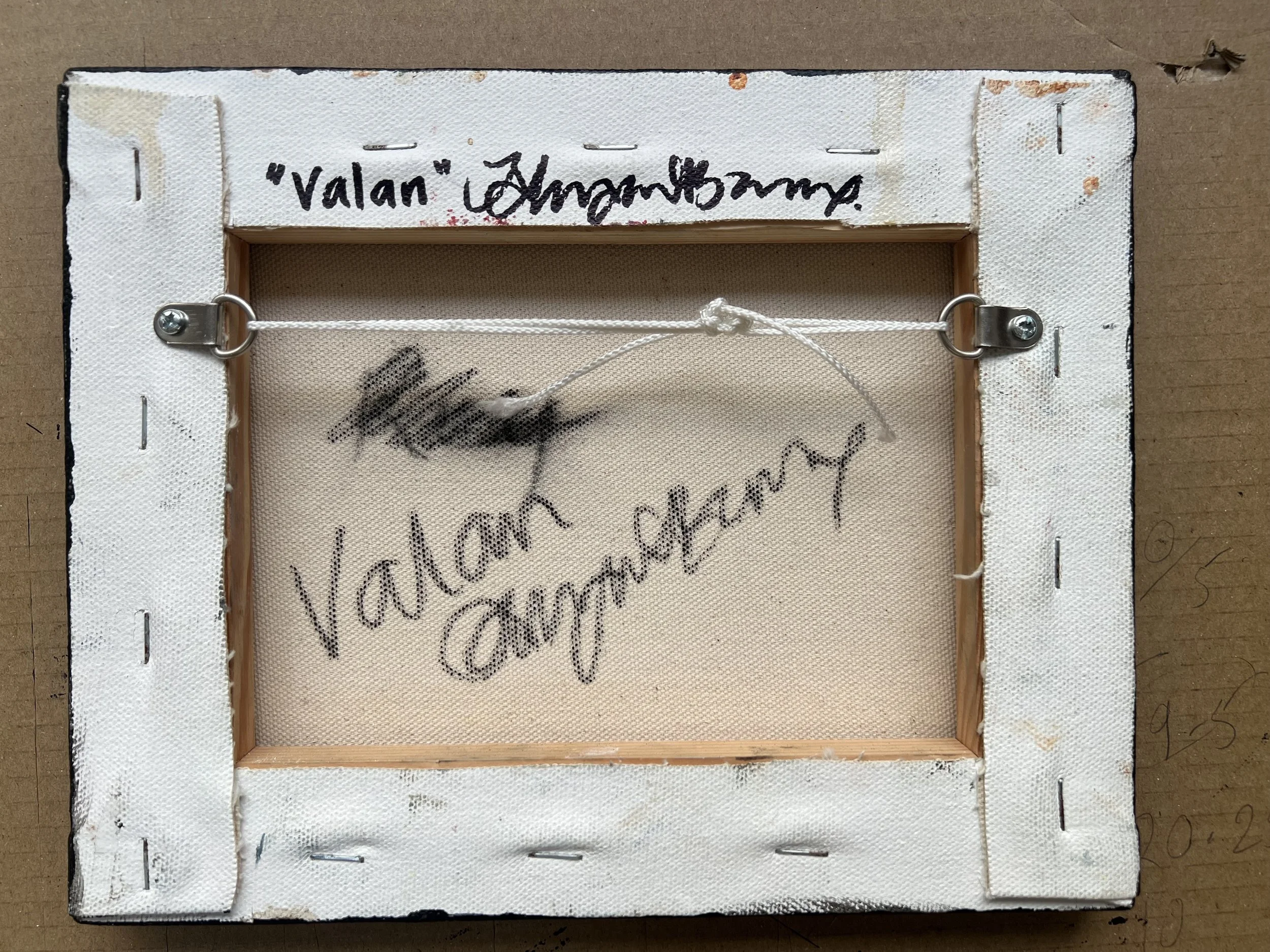 Valan_back.jpeg