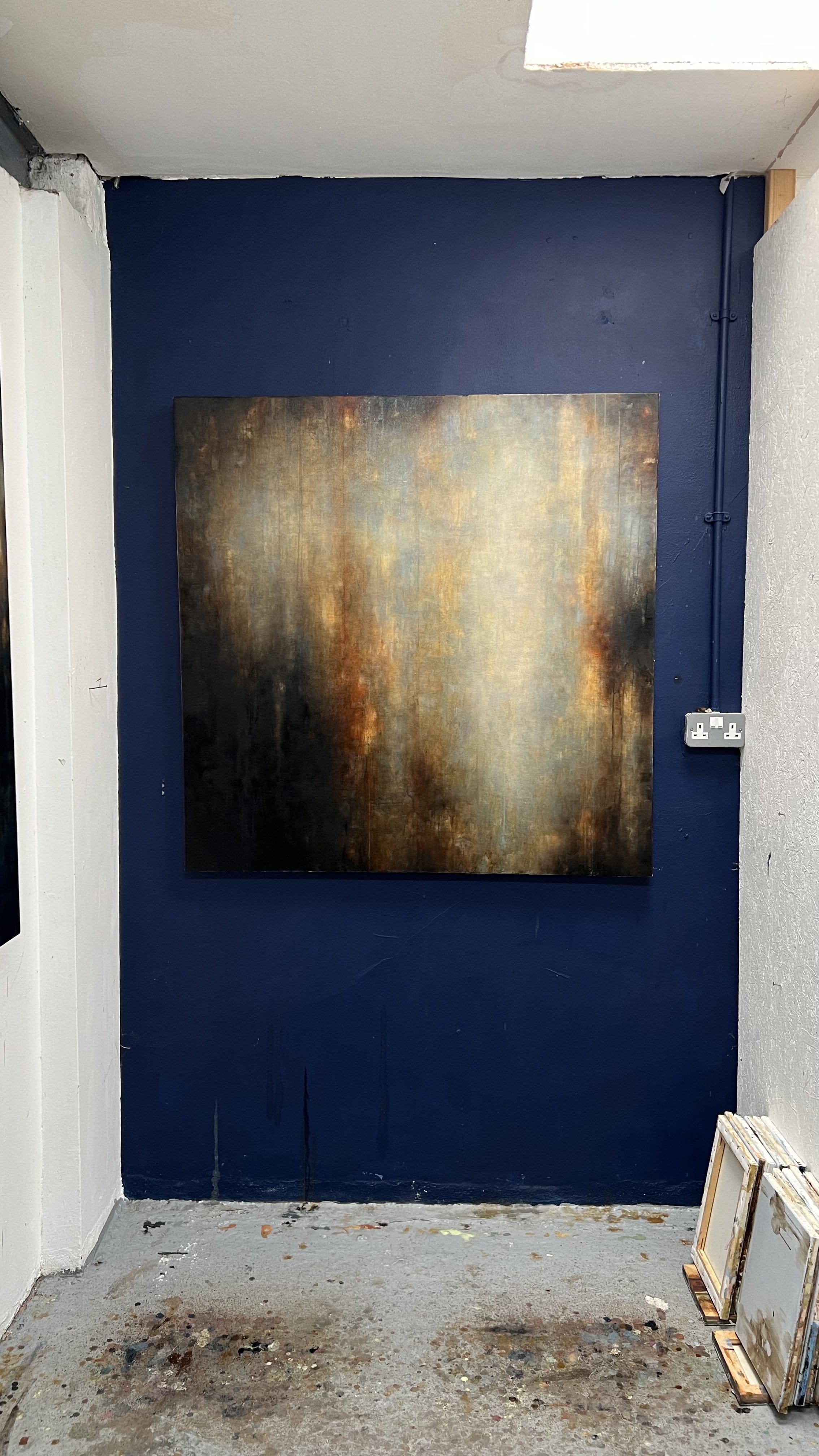 Belle_onblue.jpeg (Copy)