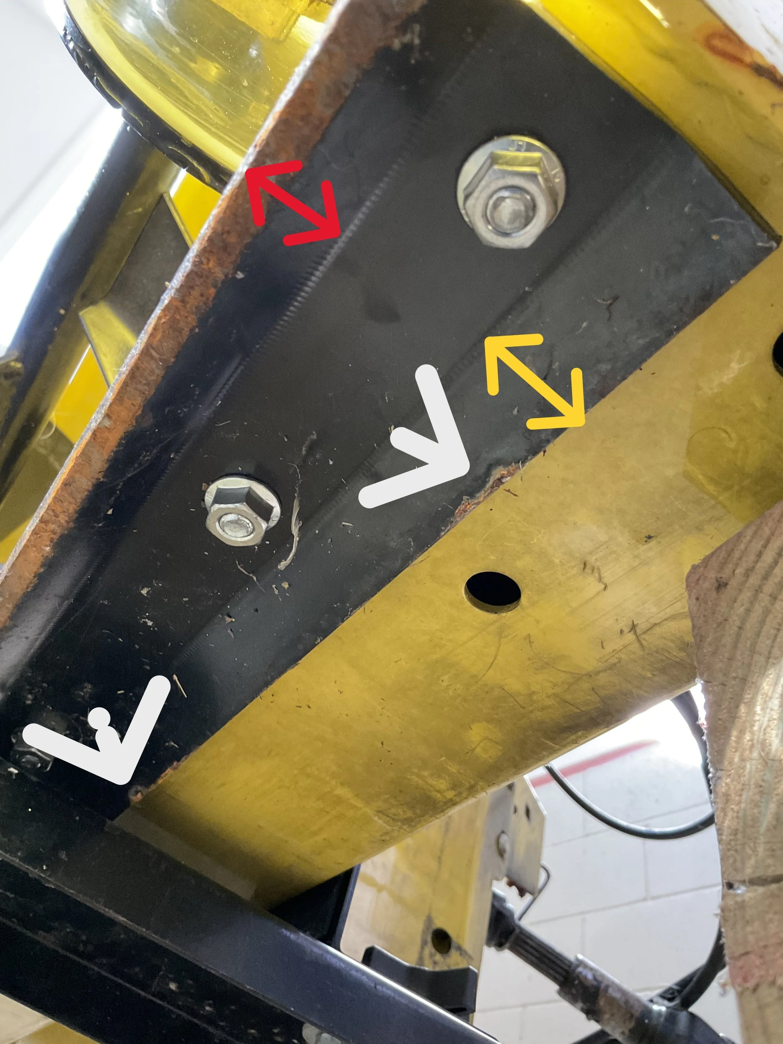 Illustrated 54 edge1.jpeg