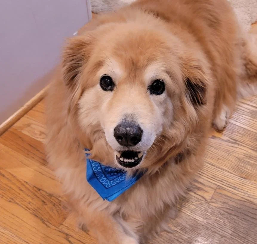 beasley.jpg