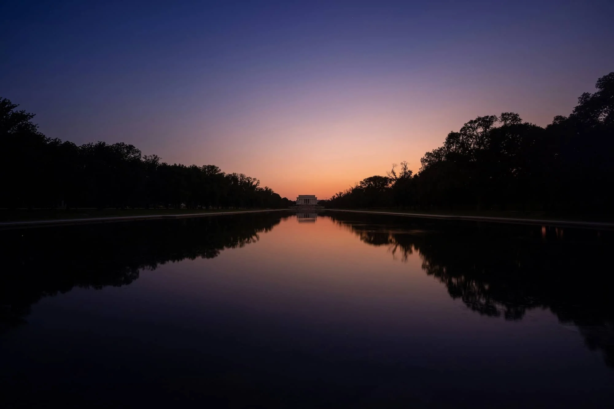 Building a Pool Near DC? Tips from Leading Swimming Pool Companies in Virginia